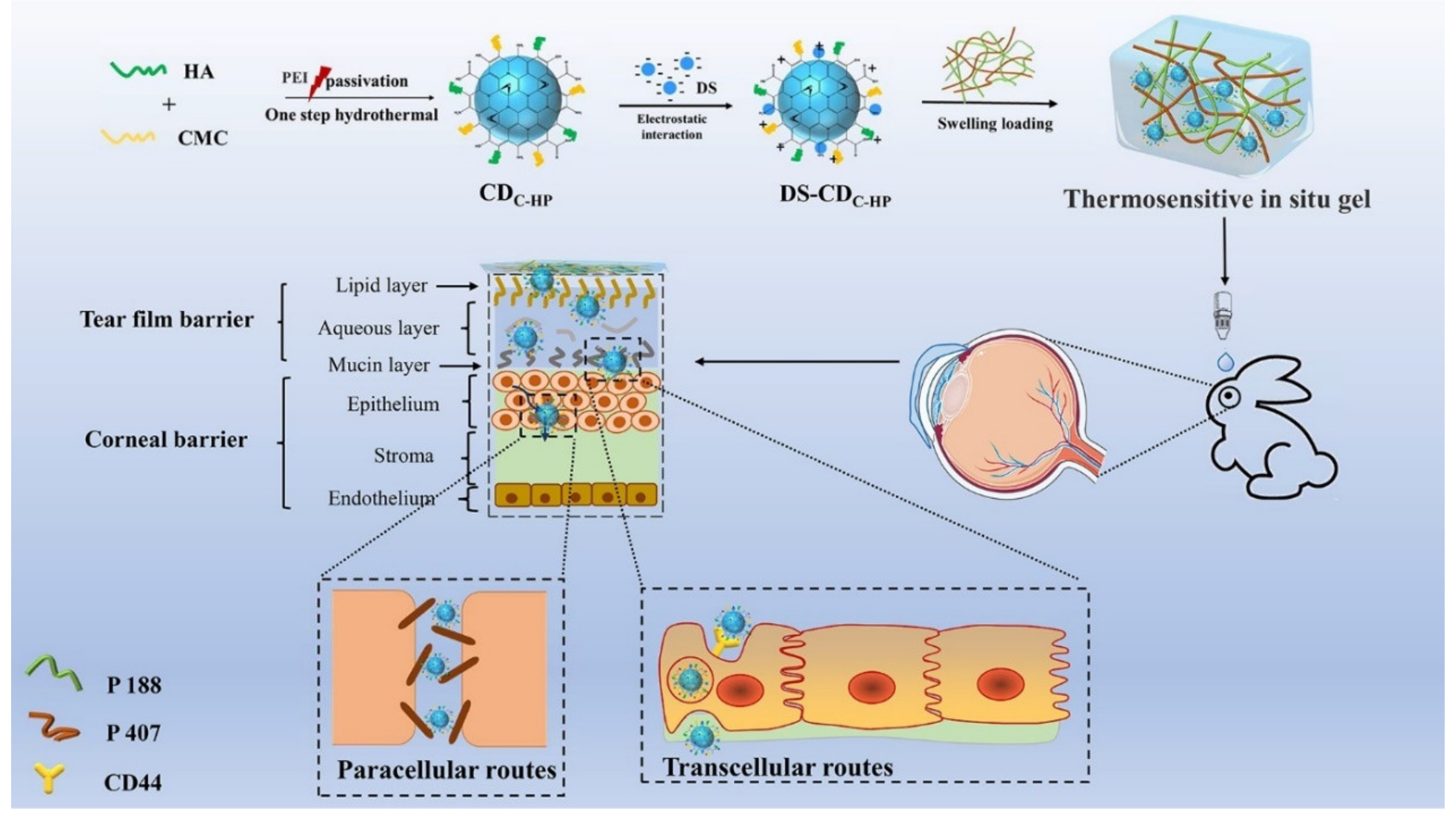 Ijms 22 09934 sch001