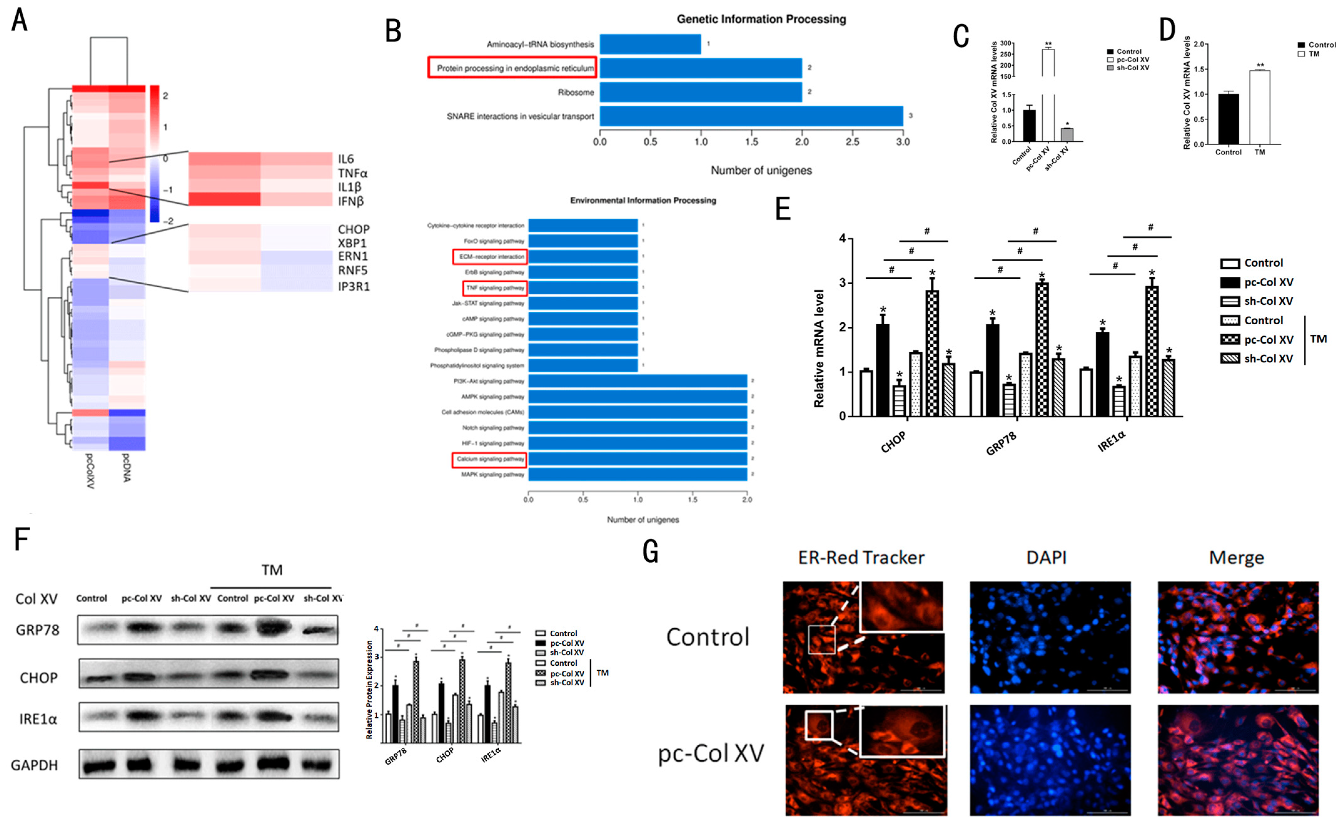 Ijms 22 09997 g001 Ijms 22 09997 g001