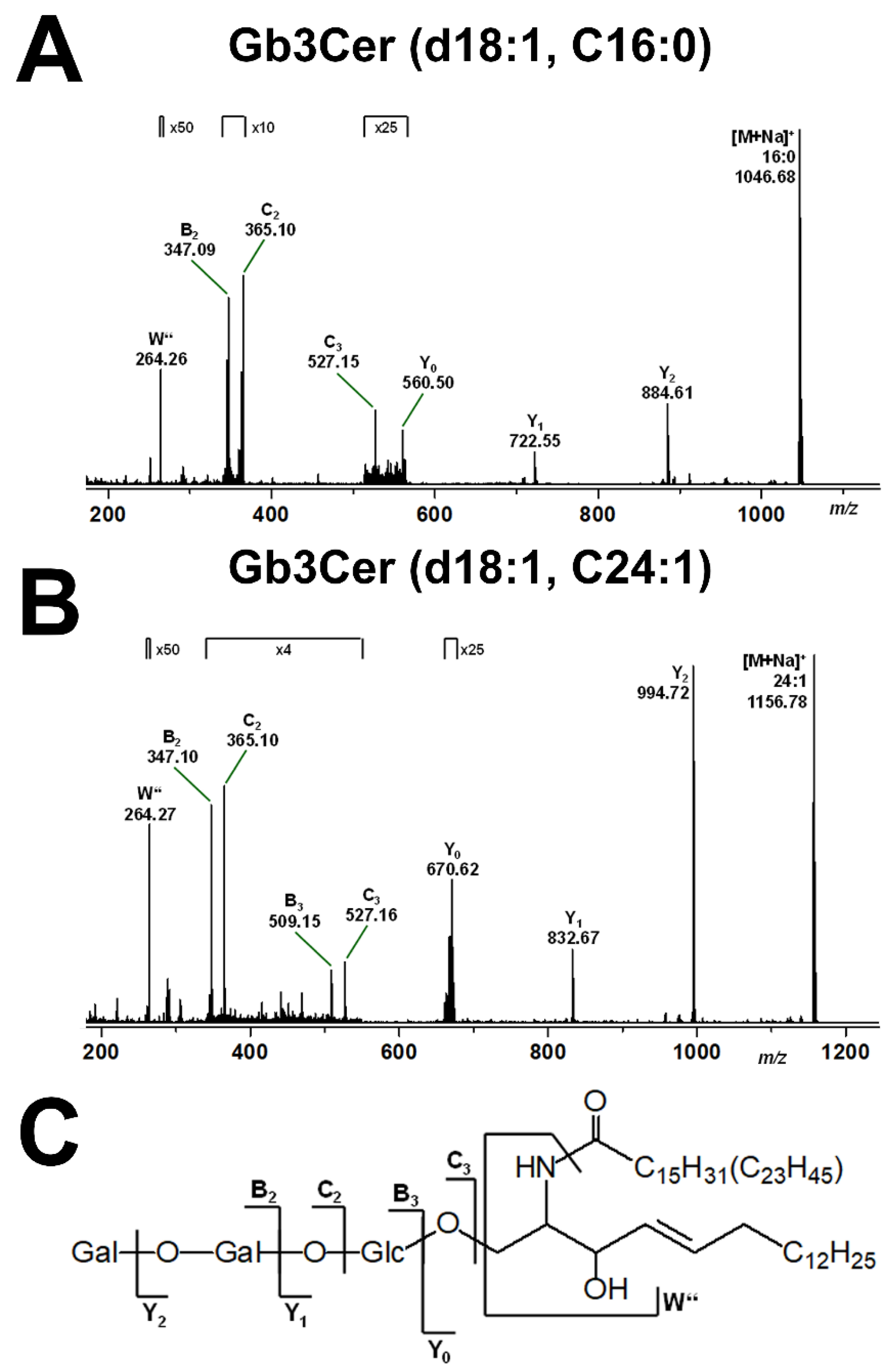 Ijms 22 10002 g003 Ijms 22 10002 g003