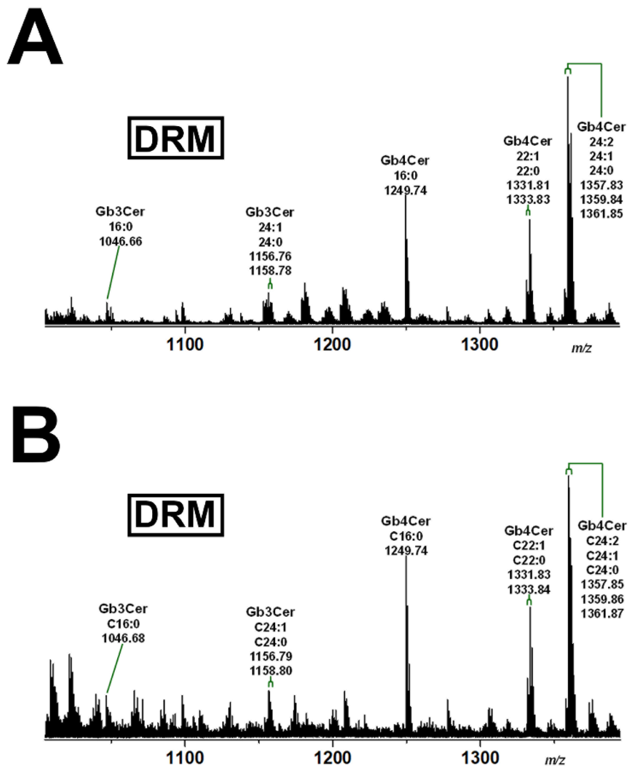 Ijms 22 10002 g007 Ijms 22 10002 g007