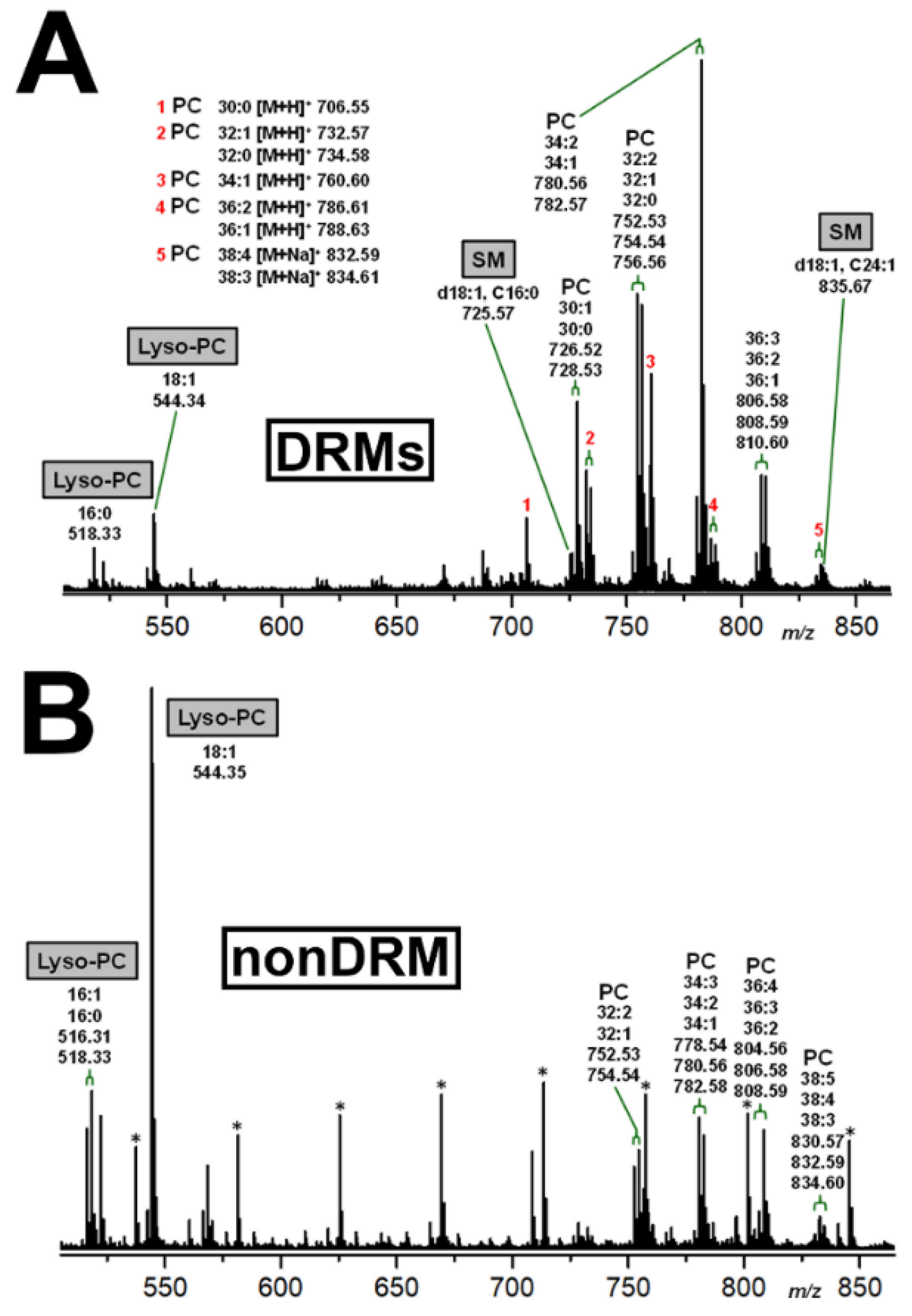 Ijms 22 10002 g009 Ijms 22 10002 g009