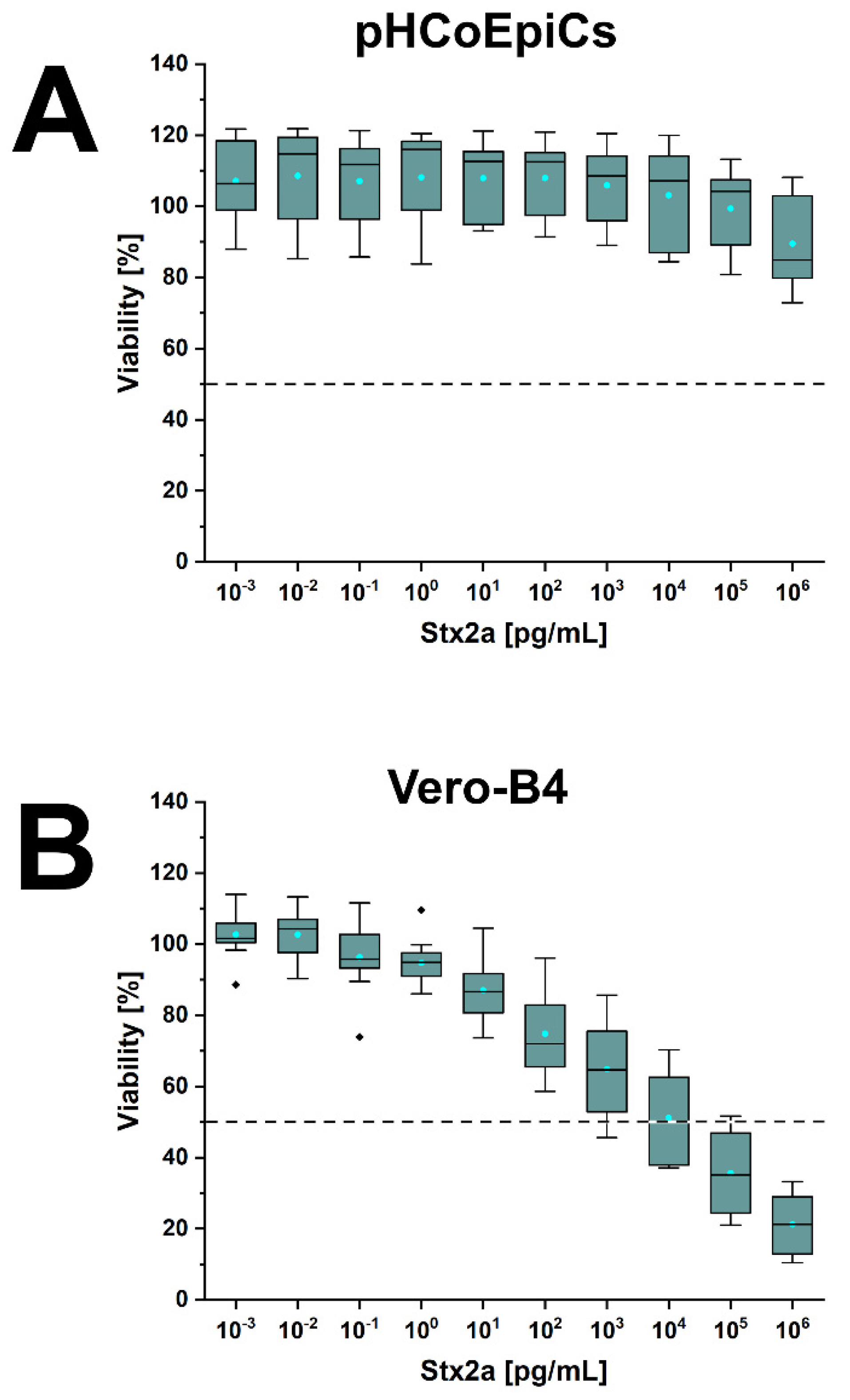 Ijms 22 10002 g011 Ijms 22 10002 g011