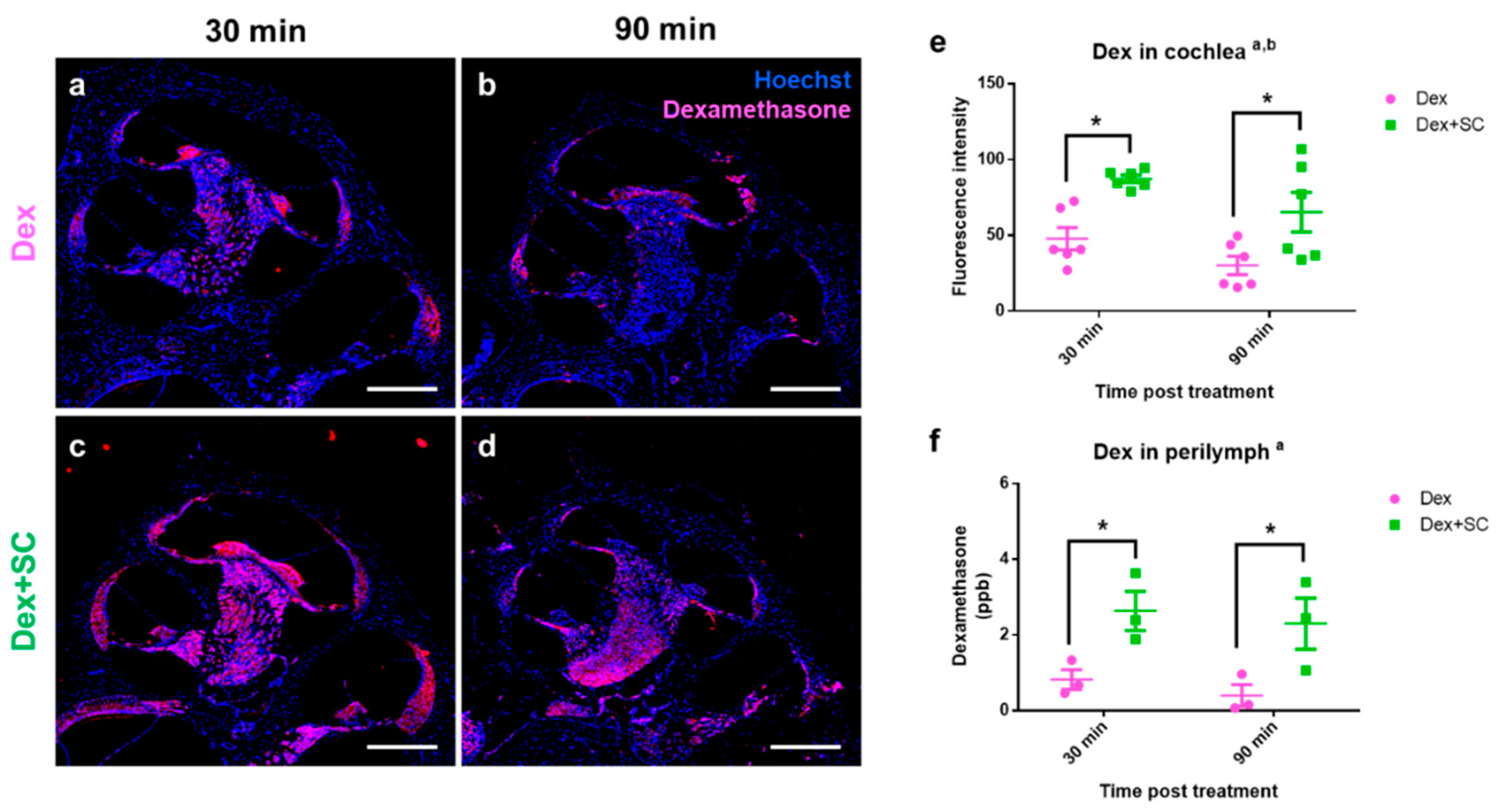 Ijms 22 10061 g003 Ijms 22 10061 g003