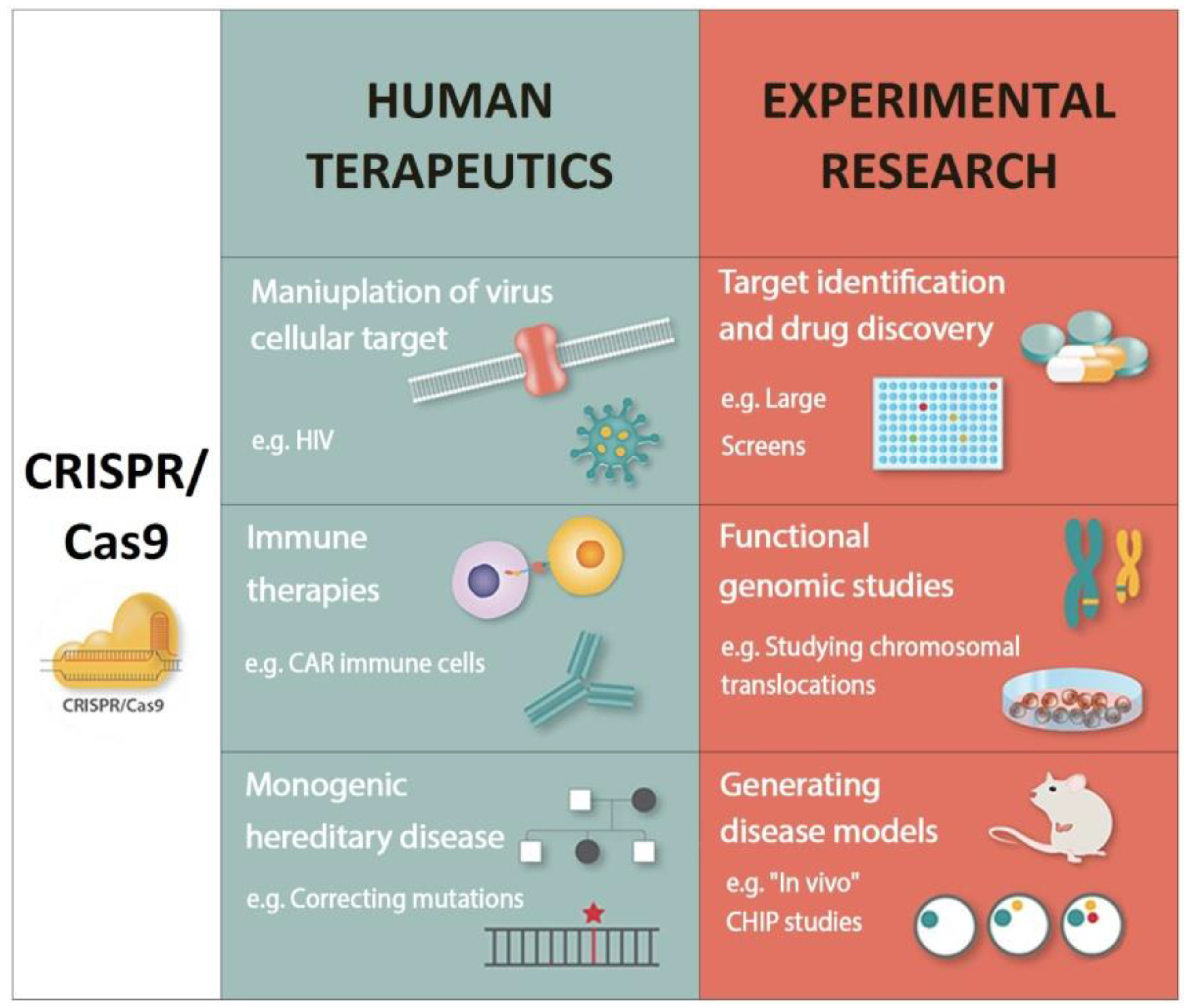 Ijms 22 10065 g002 Ijms 22 10065 g002