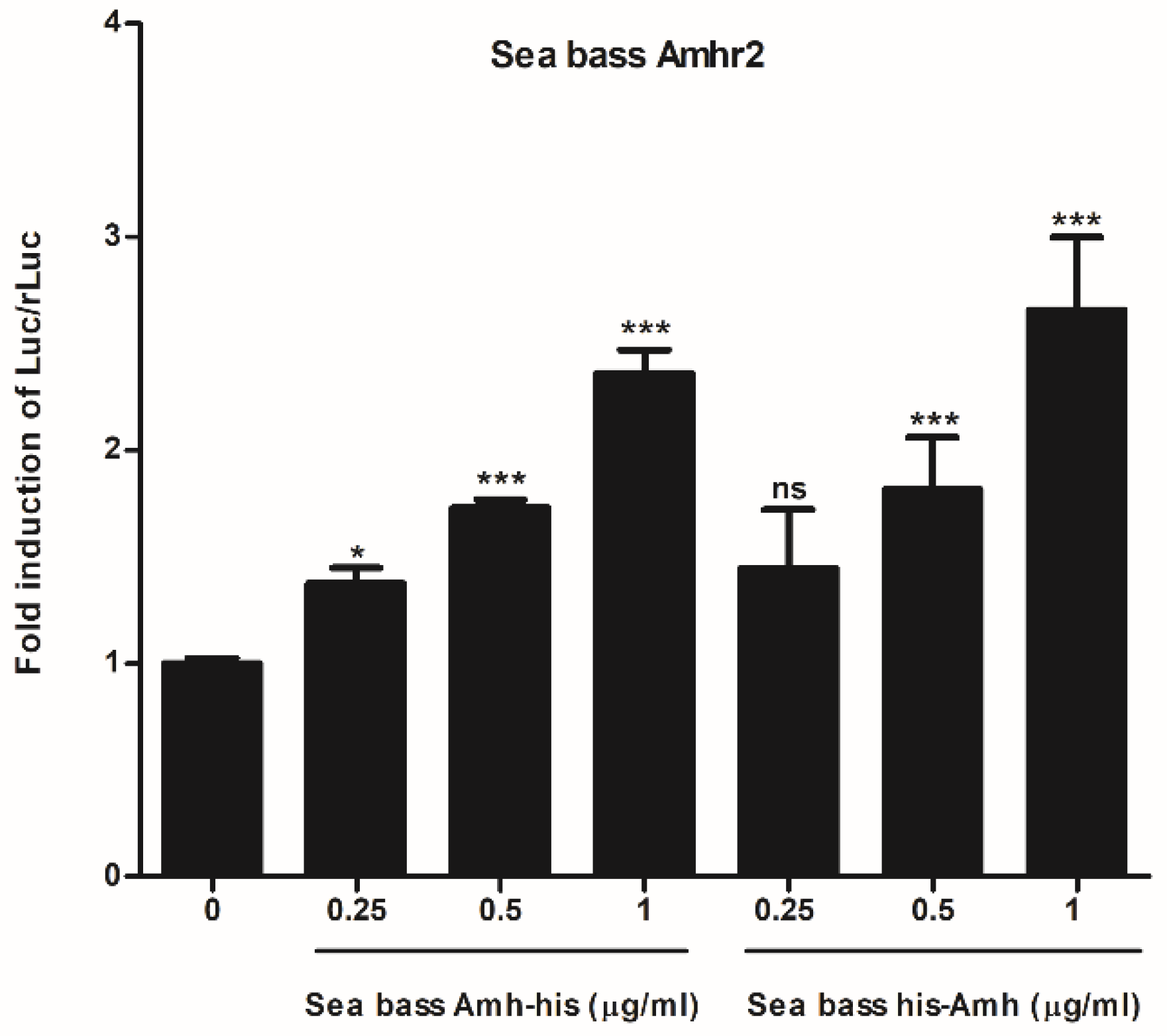 Ijms 22 10092 g002 Ijms 22 10092 g002