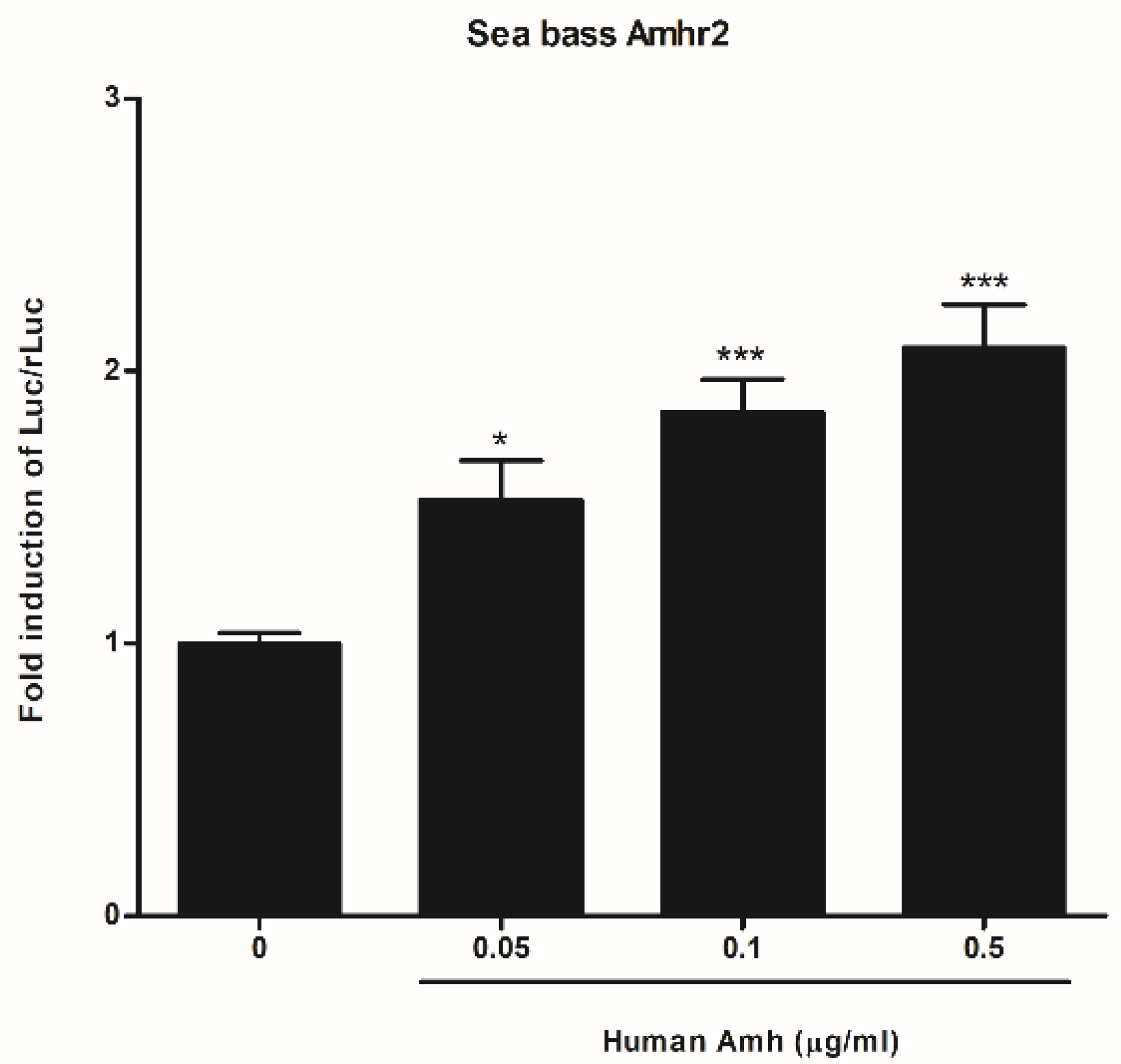 Ijms 22 10092 g003 Ijms 22 10092 g003