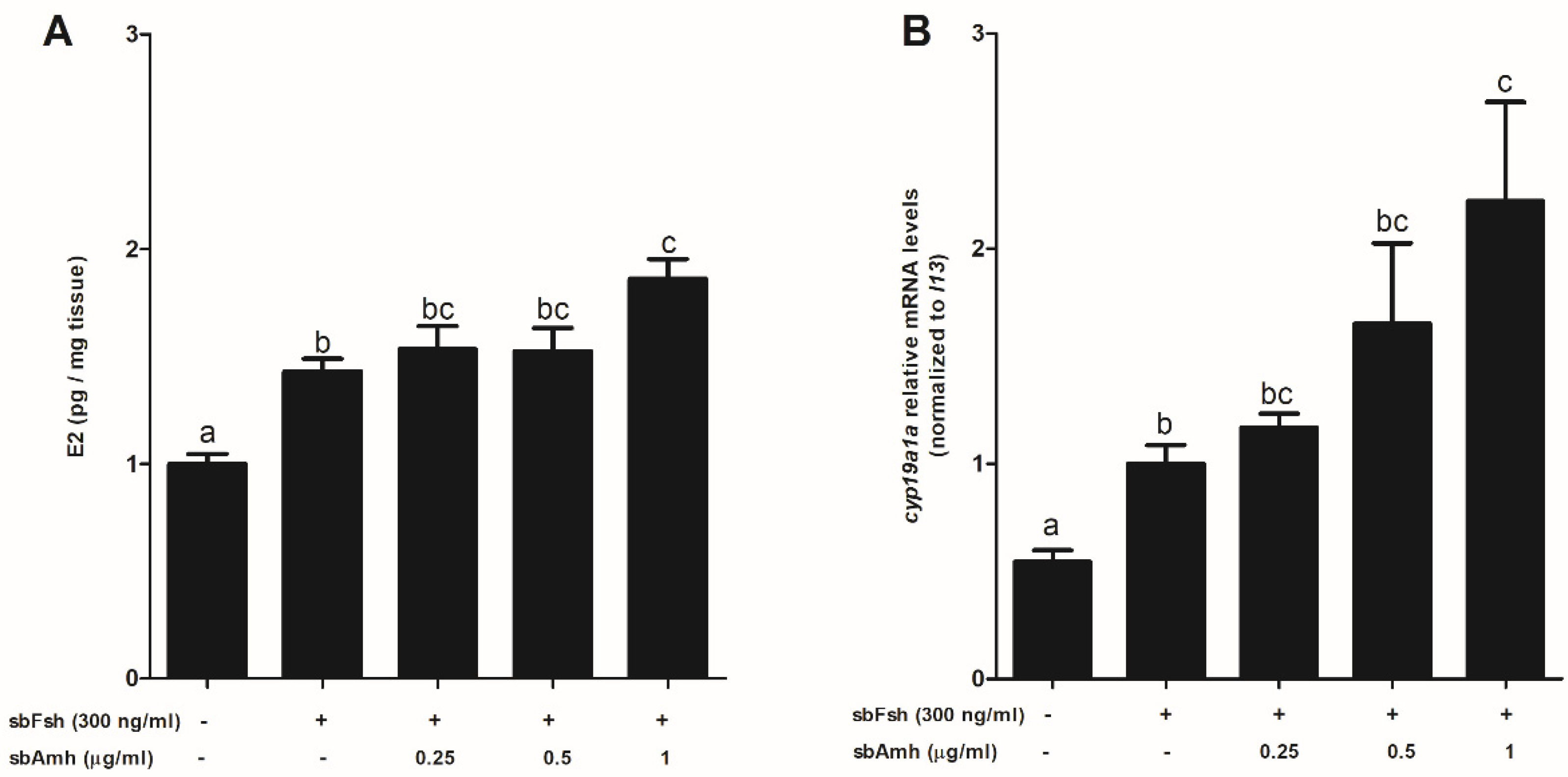 Ijms 22 10092 g007 Ijms 22 10092 g007