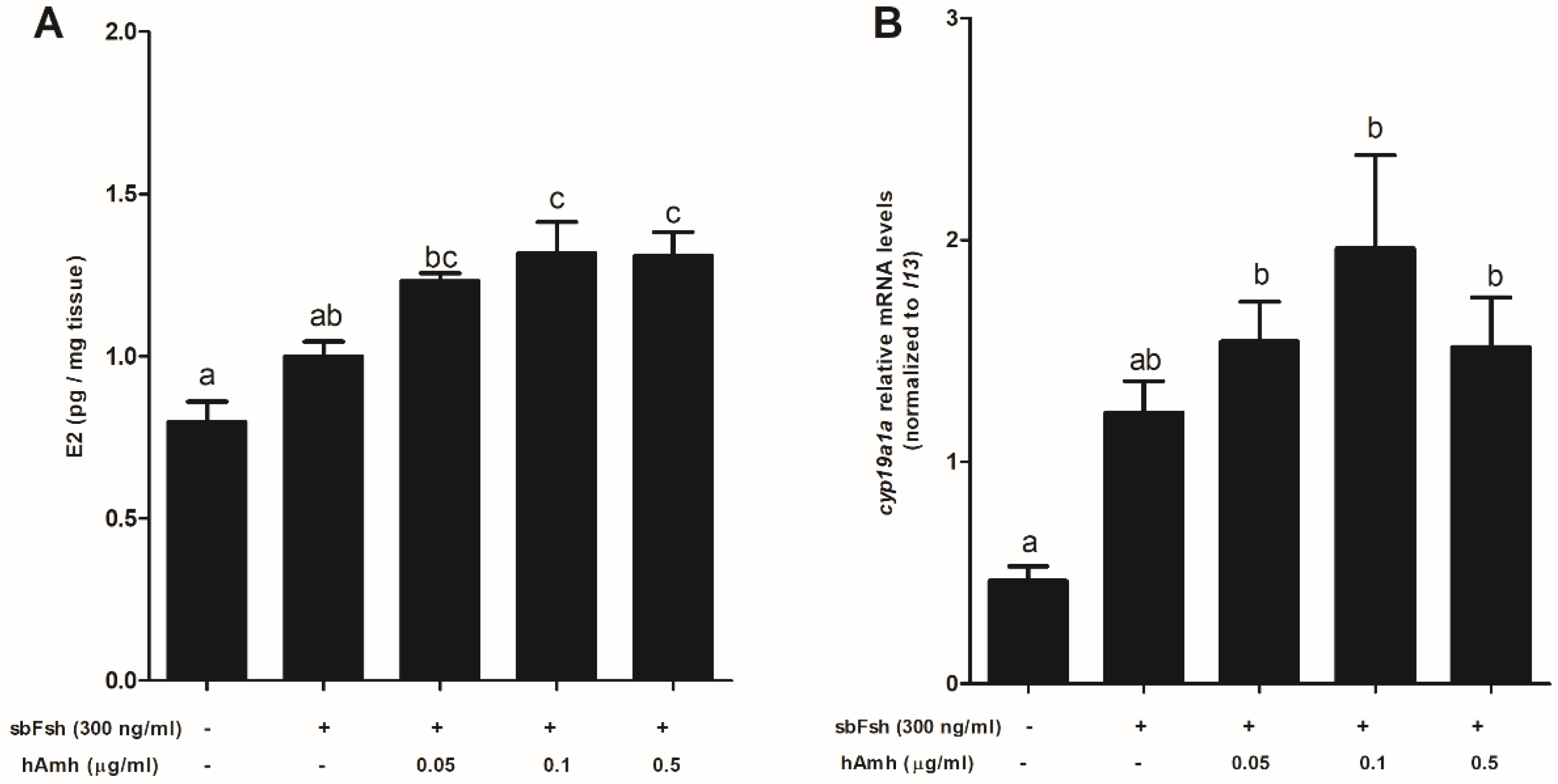 Ijms 22 10092 g008 Ijms 22 10092 g008