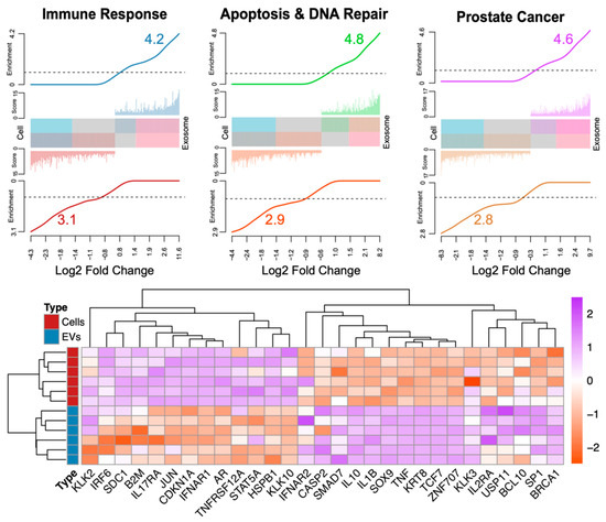 Ijms 22 10131 g002 550
