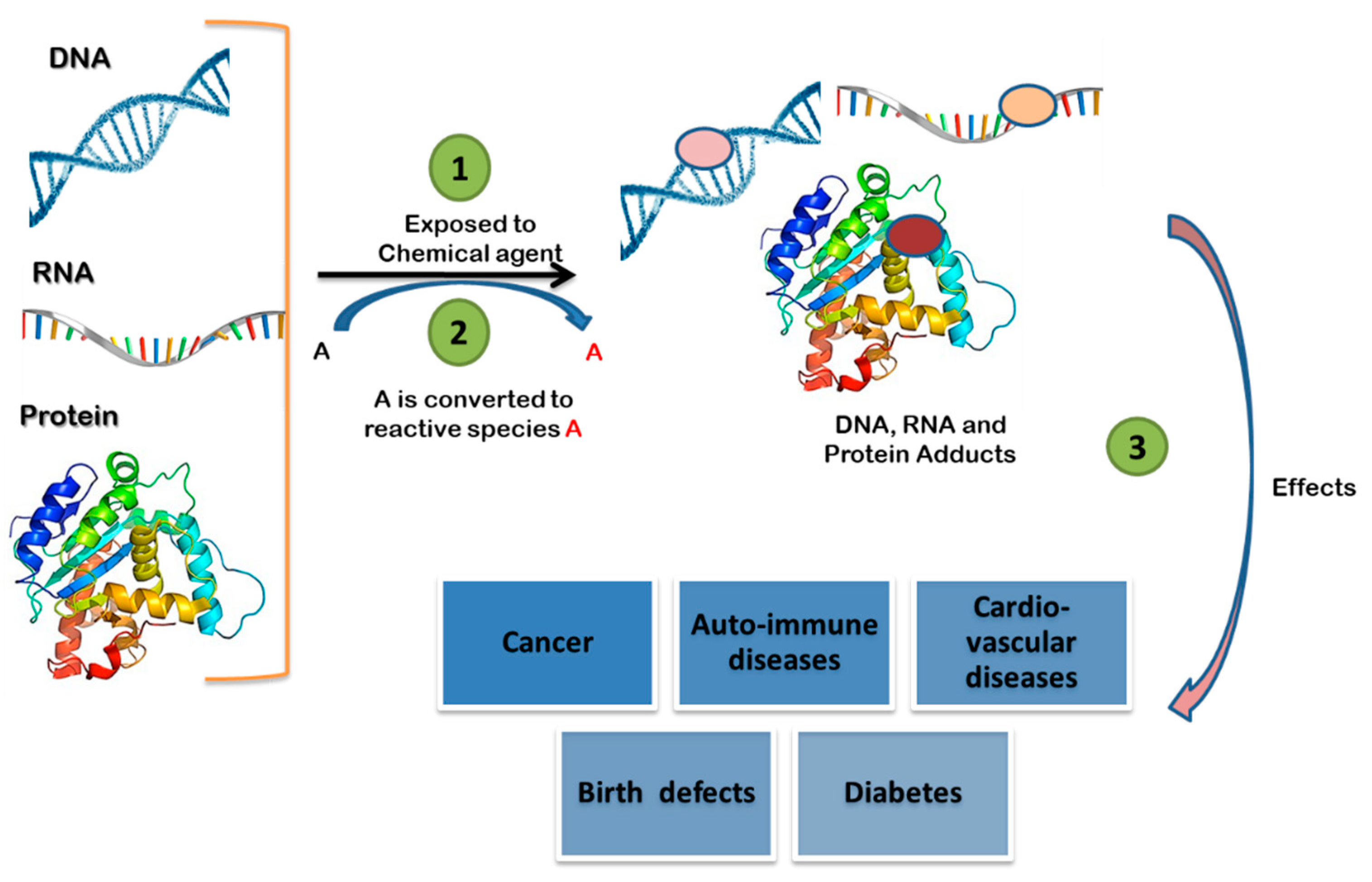 Ijms 22 10141 g001 Ijms 22 10141 g001