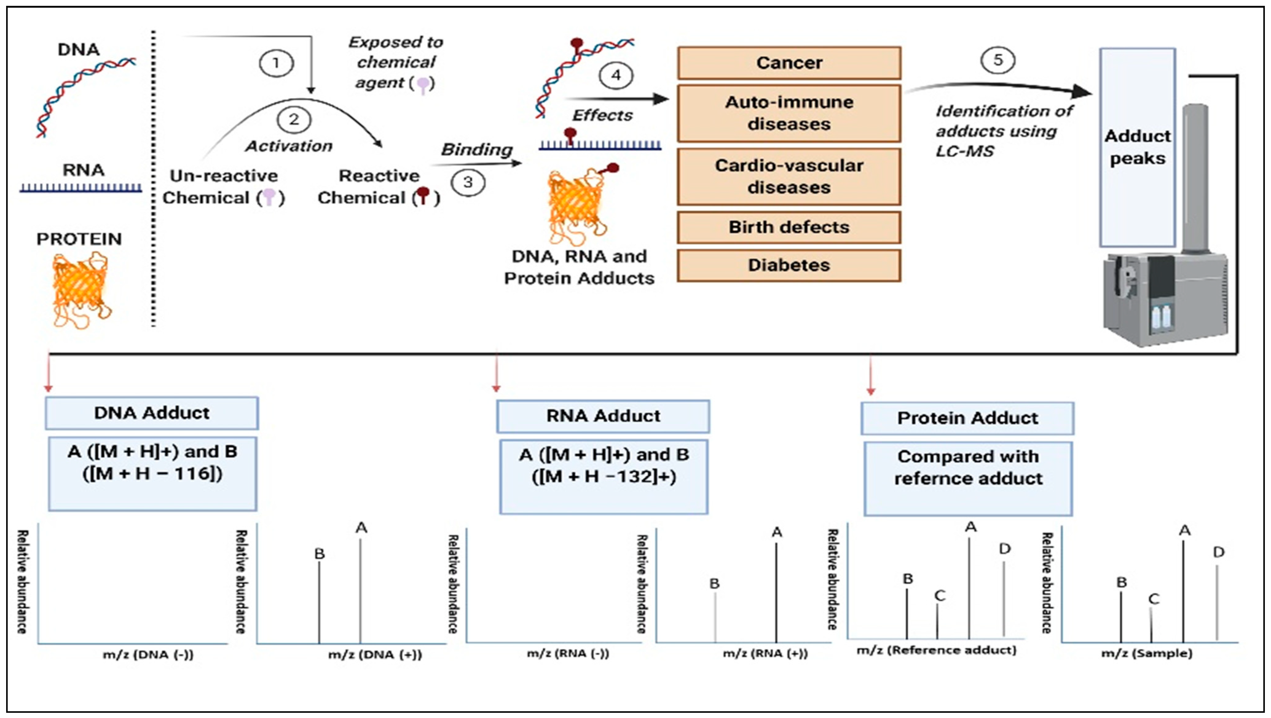 Ijms 22 10141 g002 Ijms 22 10141 g002
