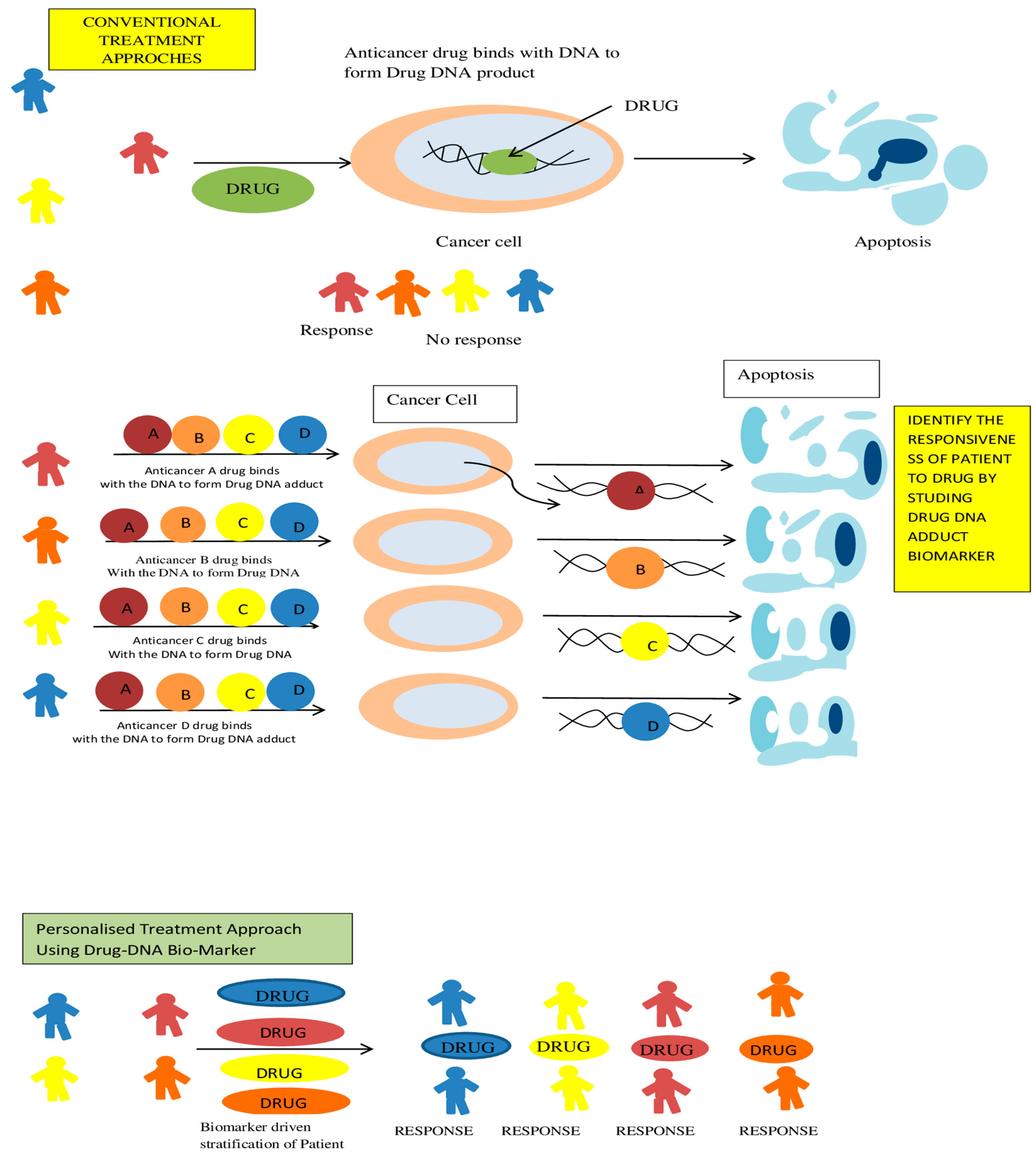 Ijms 22 10141 g003 Ijms 22 10141 g003