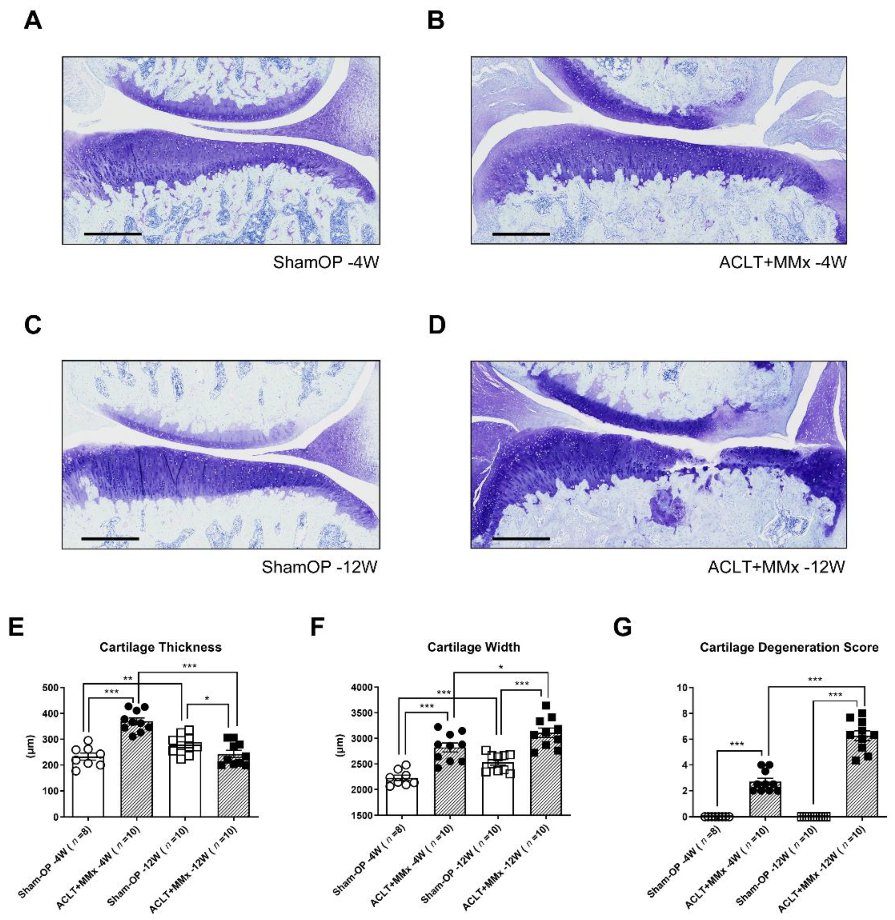 Ijms 22 10179 g002 Ijms 22 10179 g002