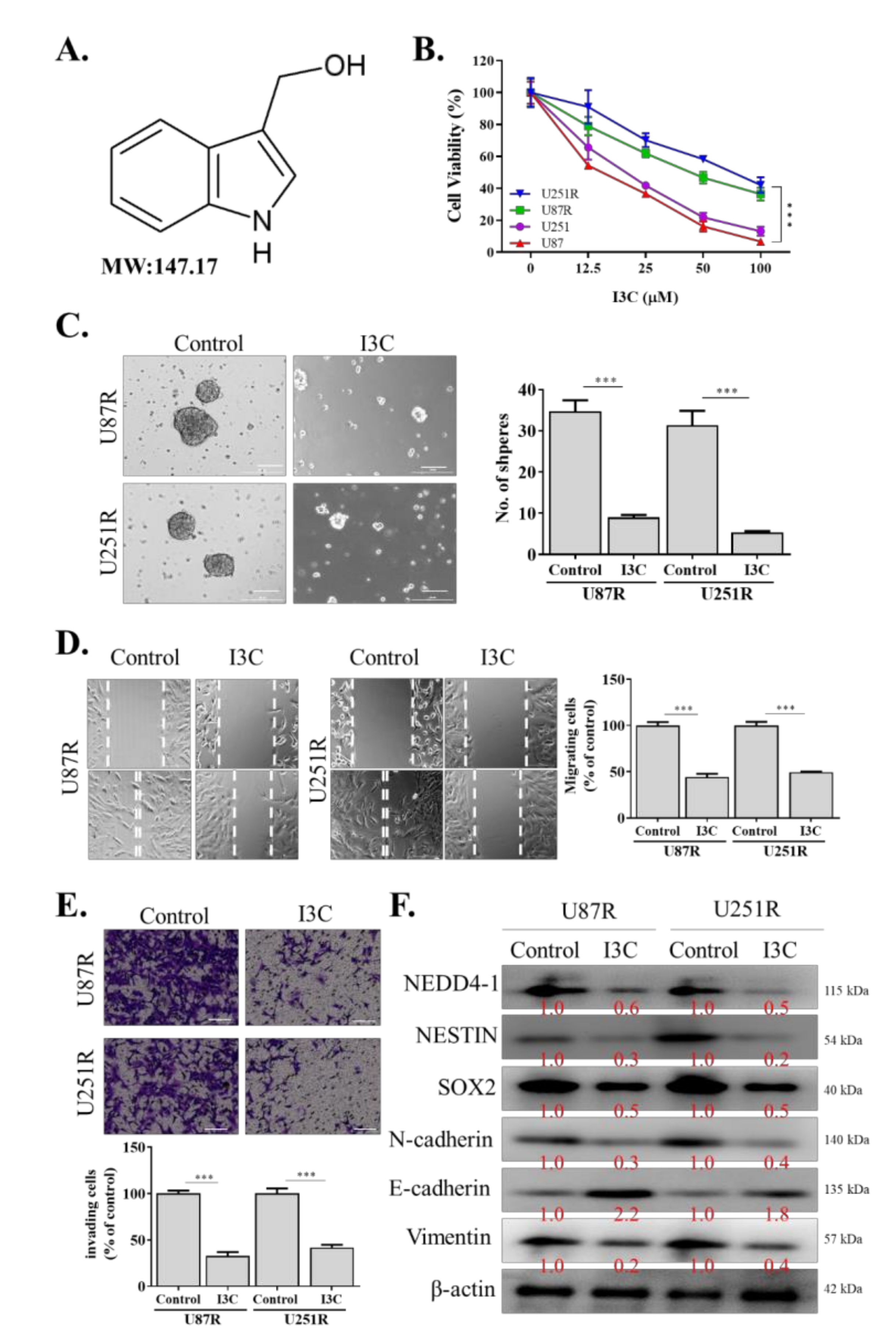 Ijms 22 10247 g004