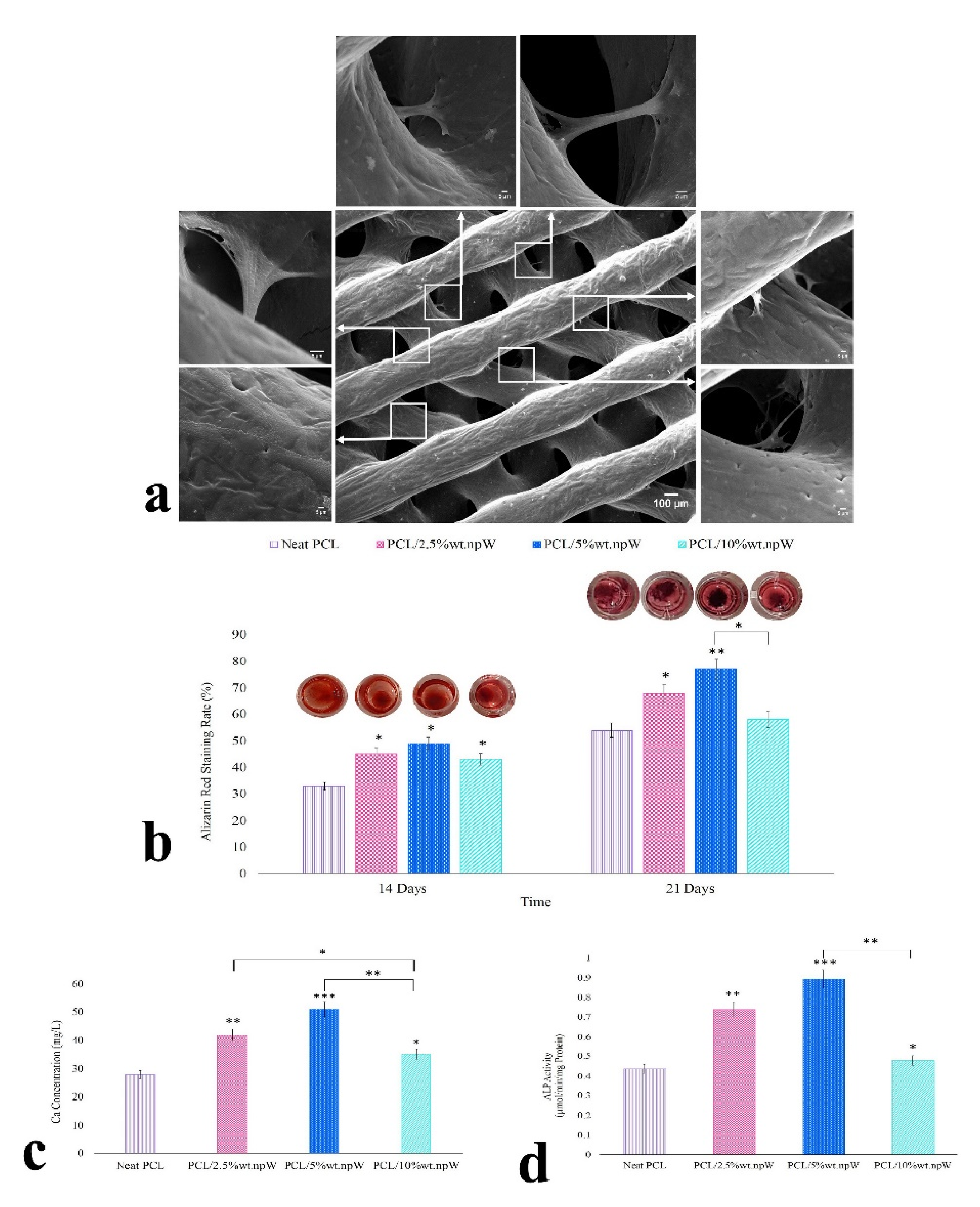 Regeneration of Bone Defects in a Rabbit Femoral Osteonecrosis Model ...