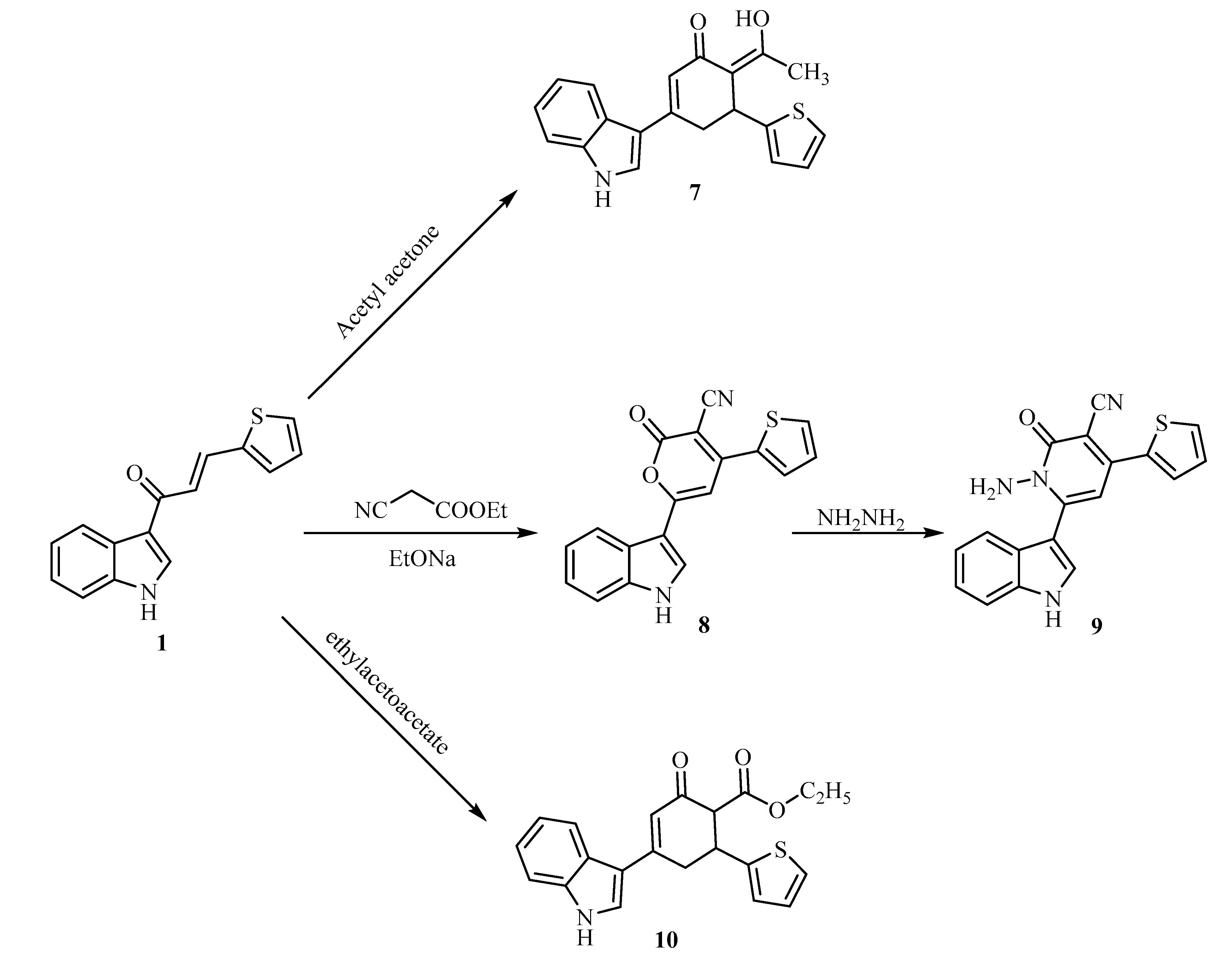 Ijms 22 10396 sch004