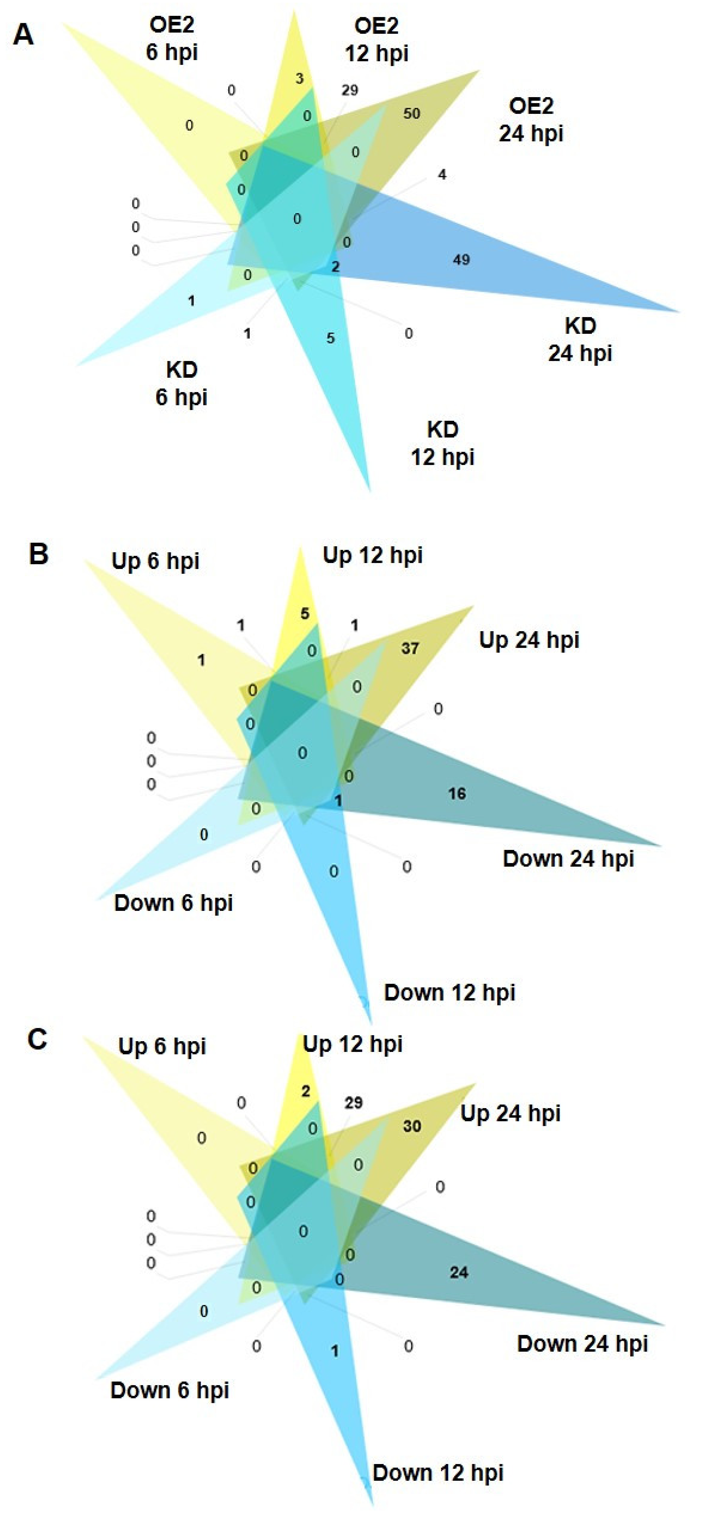 Ijms 22 10469 g004 Ijms 22 10469 g004