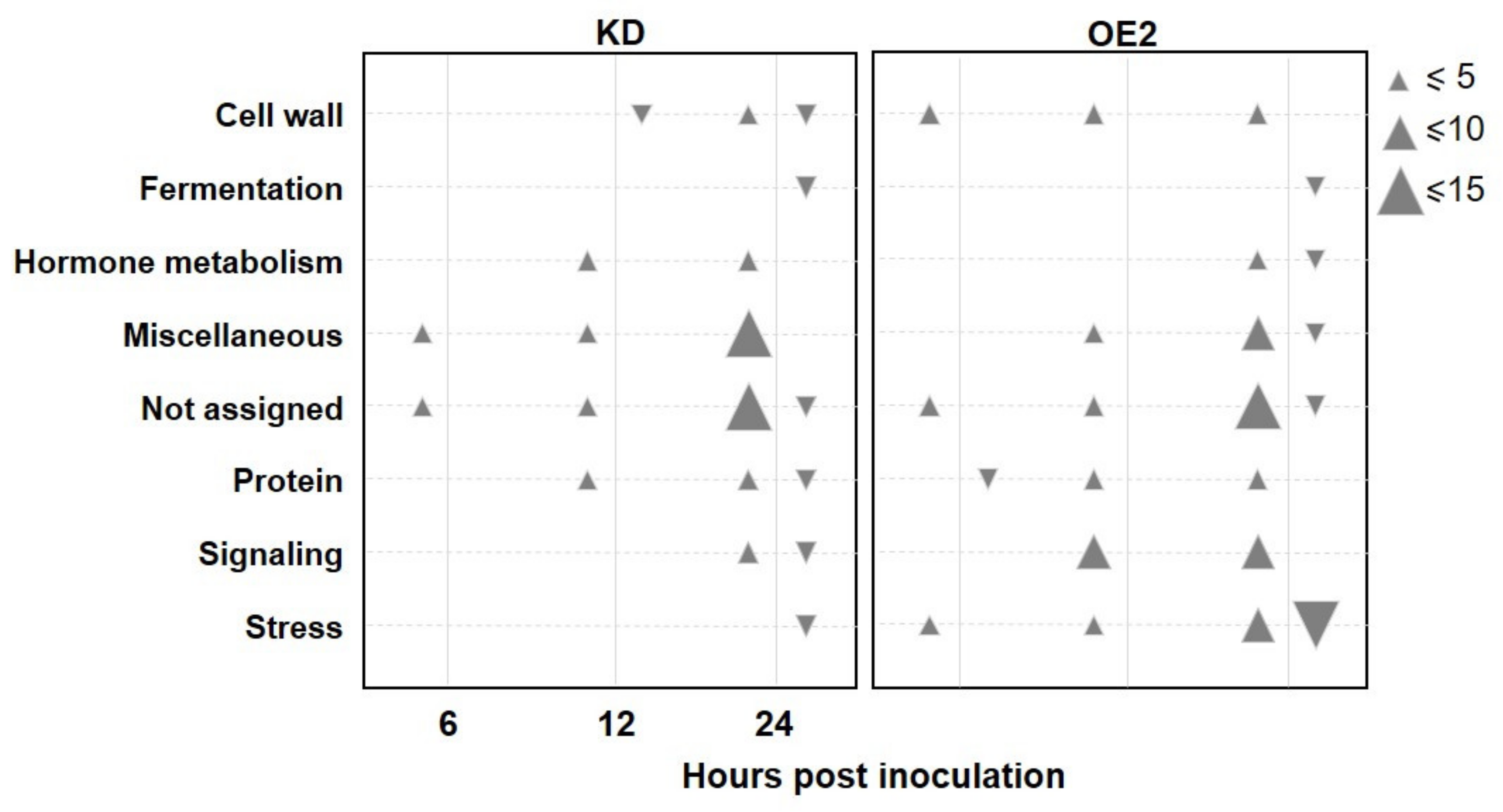 Ijms 22 10469 g005 Ijms 22 10469 g005