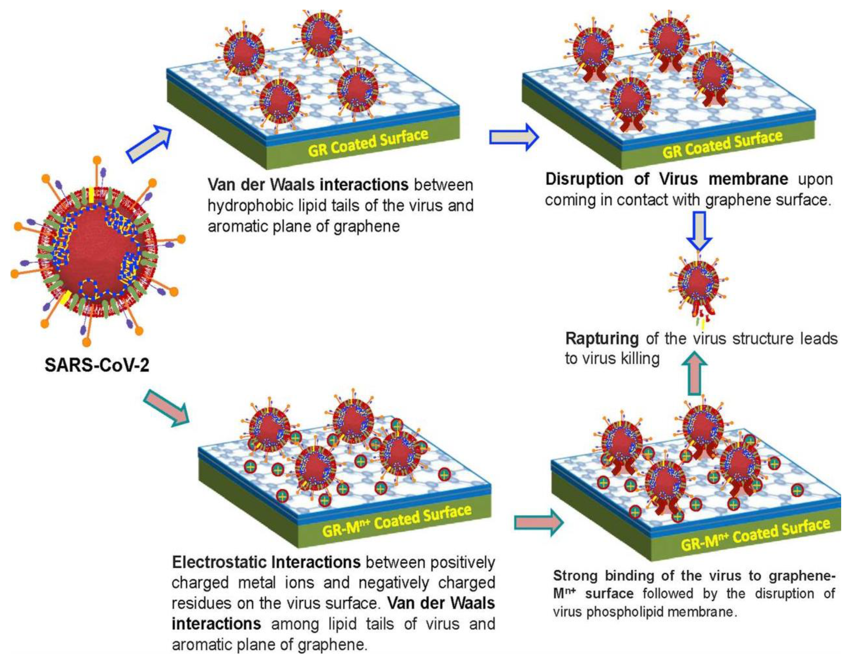 Ijms 22 10511 sch004