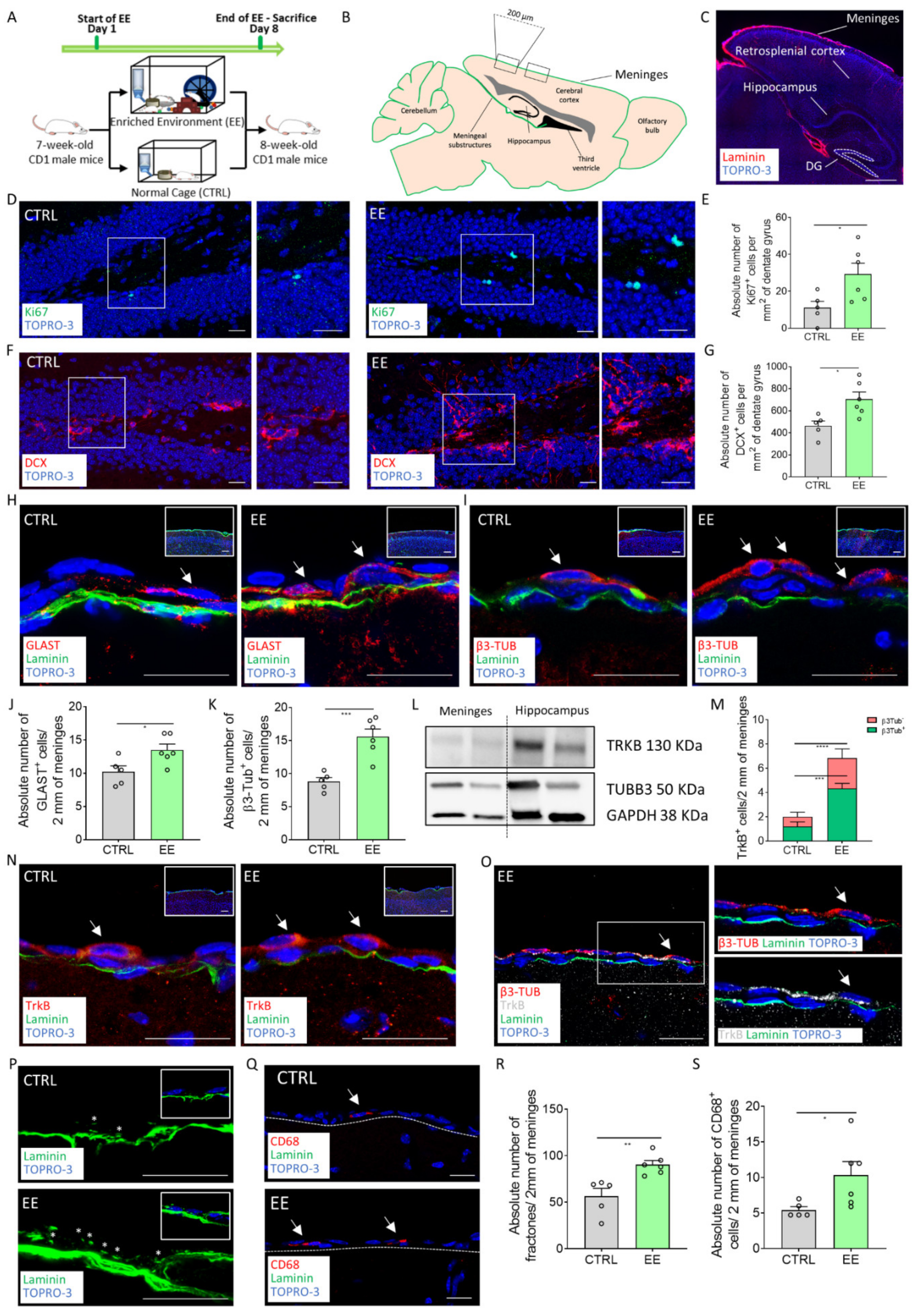 Ijms 22 10657 g001 Ijms 22 10657 g001
