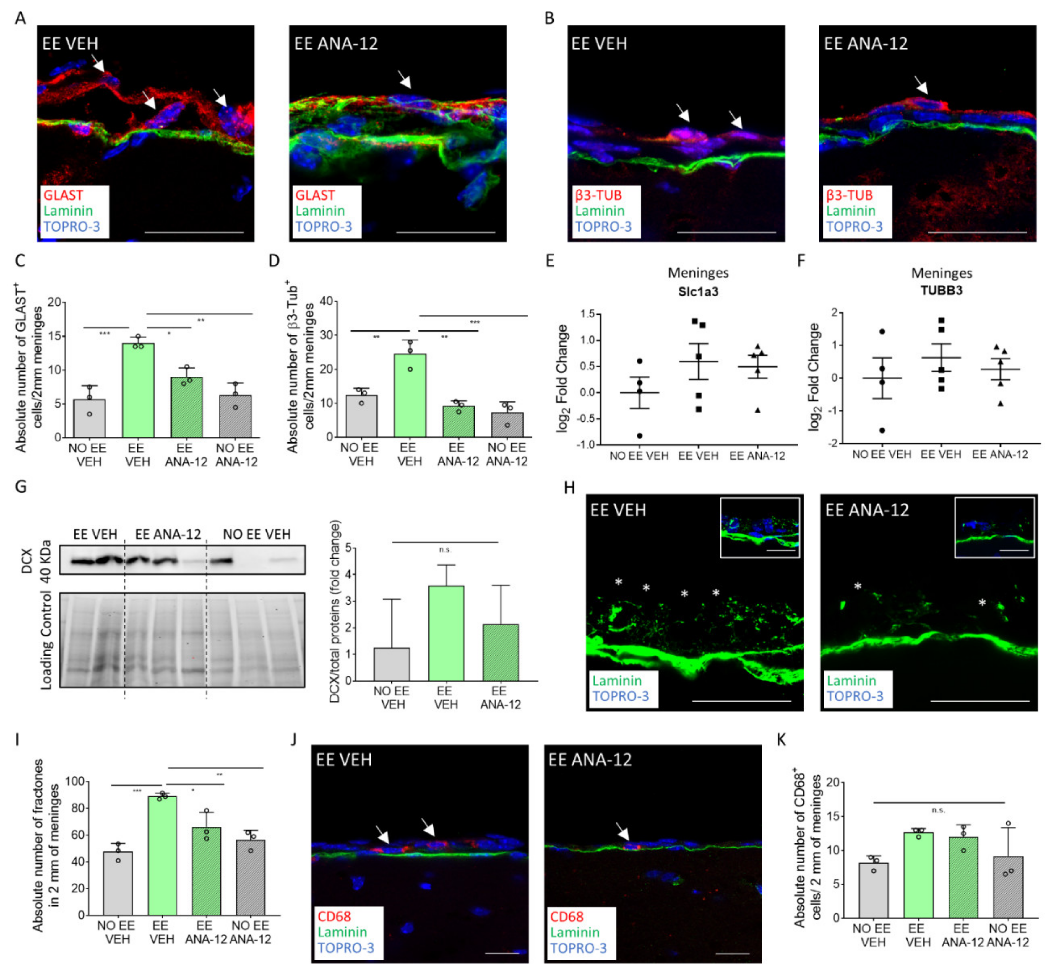 Ijms 22 10657 g004 Ijms 22 10657 g004