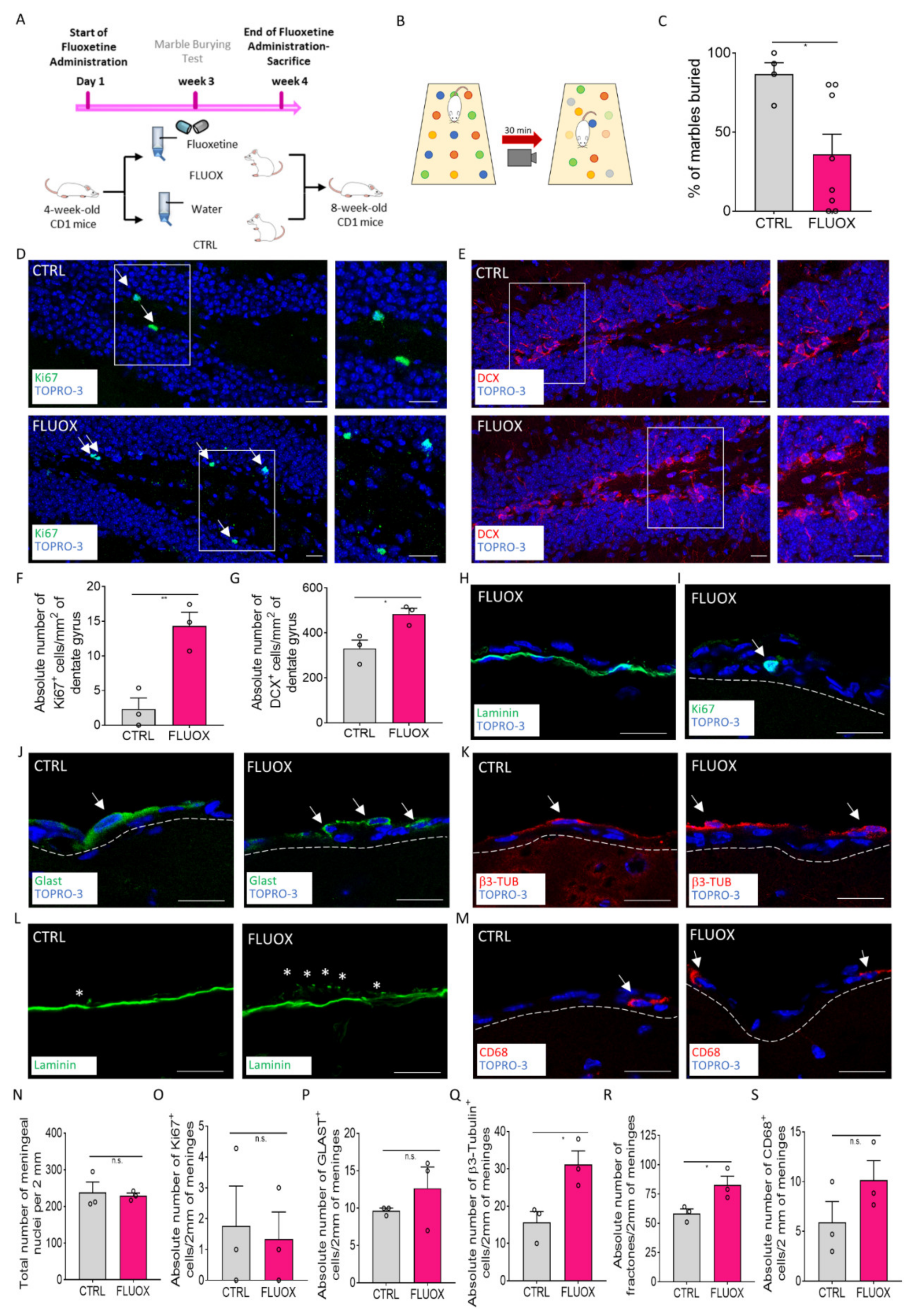 Ijms 22 10657 g005 Ijms 22 10657 g005