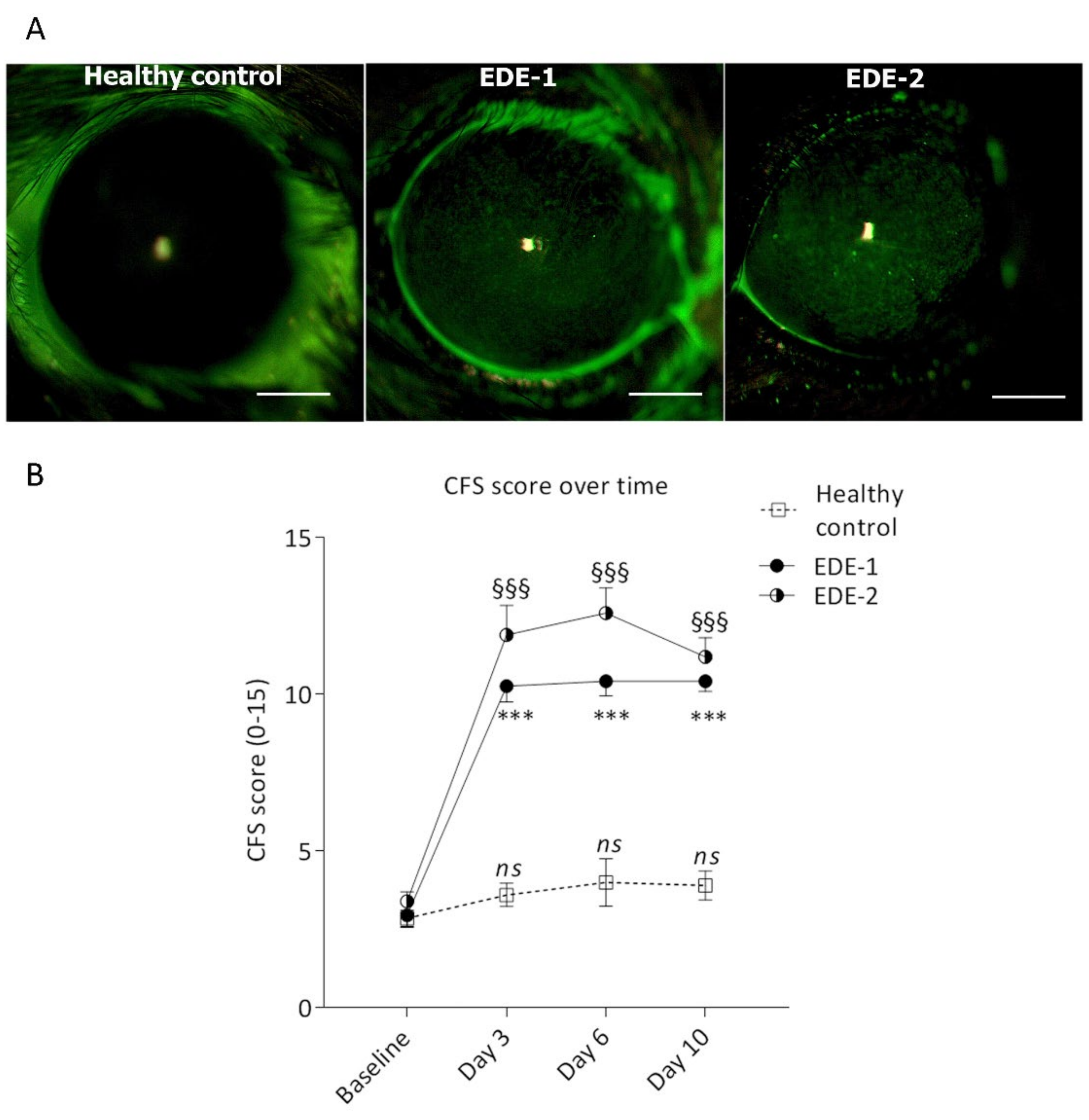 Ijms 22 10770 g001 Ijms 22 10770 g001