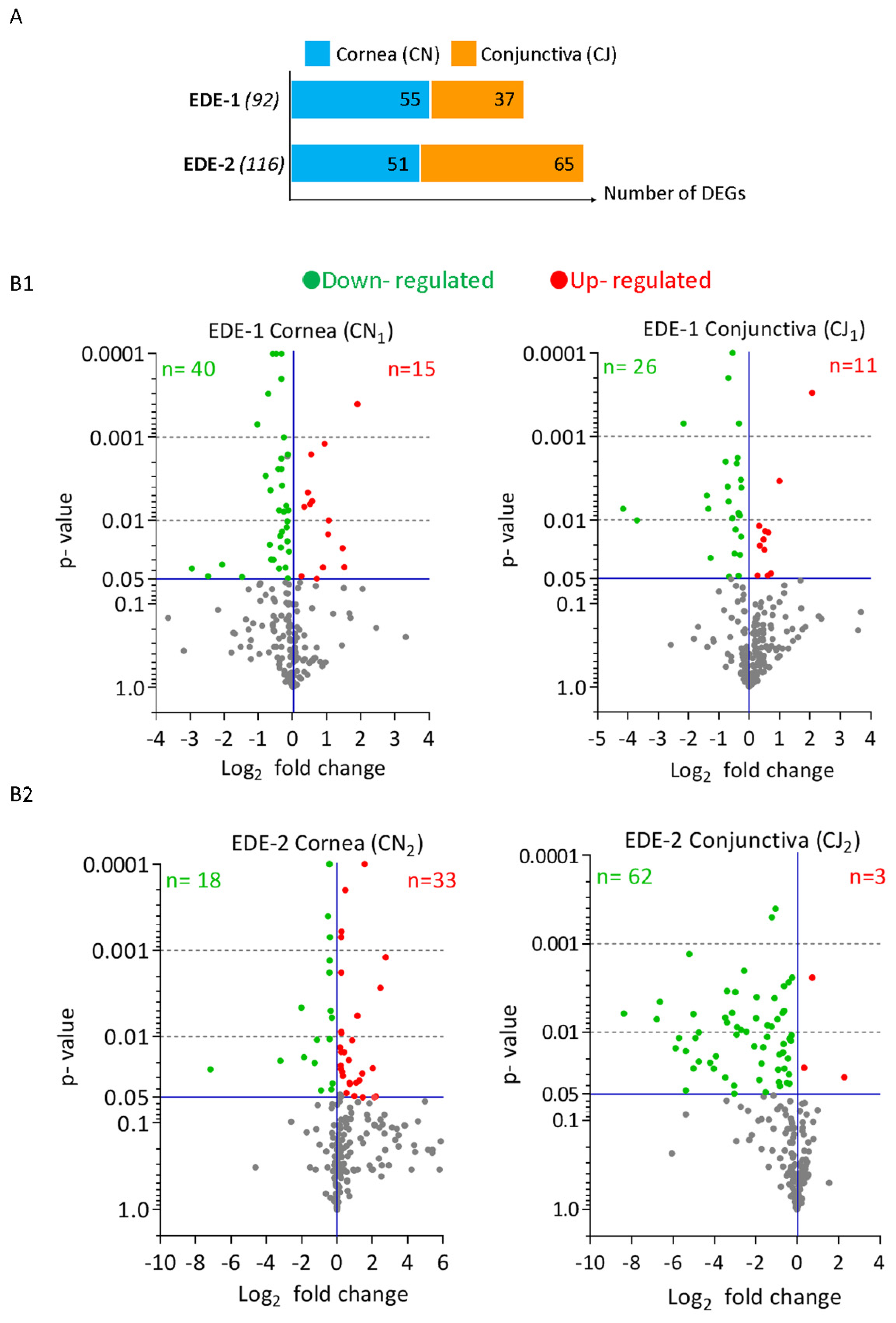 Ijms 22 10770 g002 Ijms 22 10770 g002