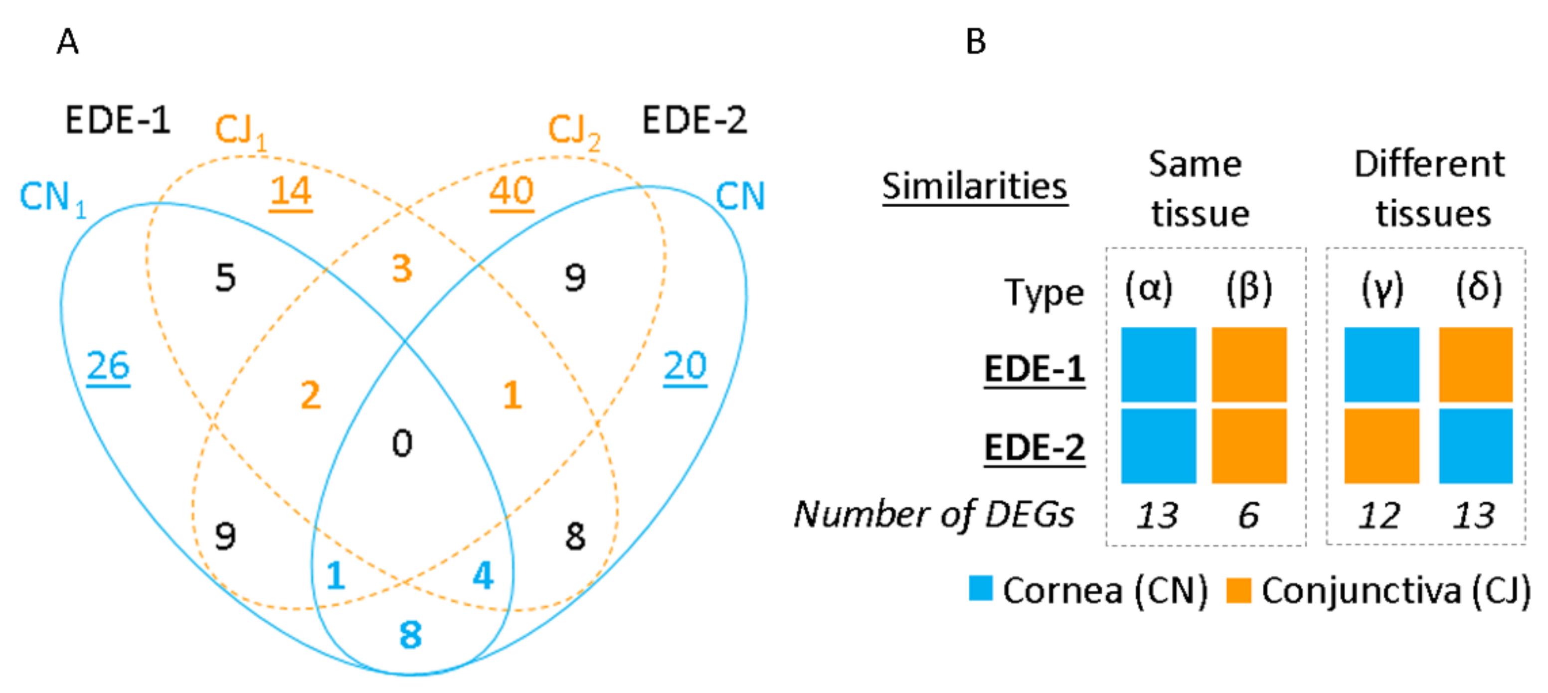 Ijms 22 10770 g003 Ijms 22 10770 g003