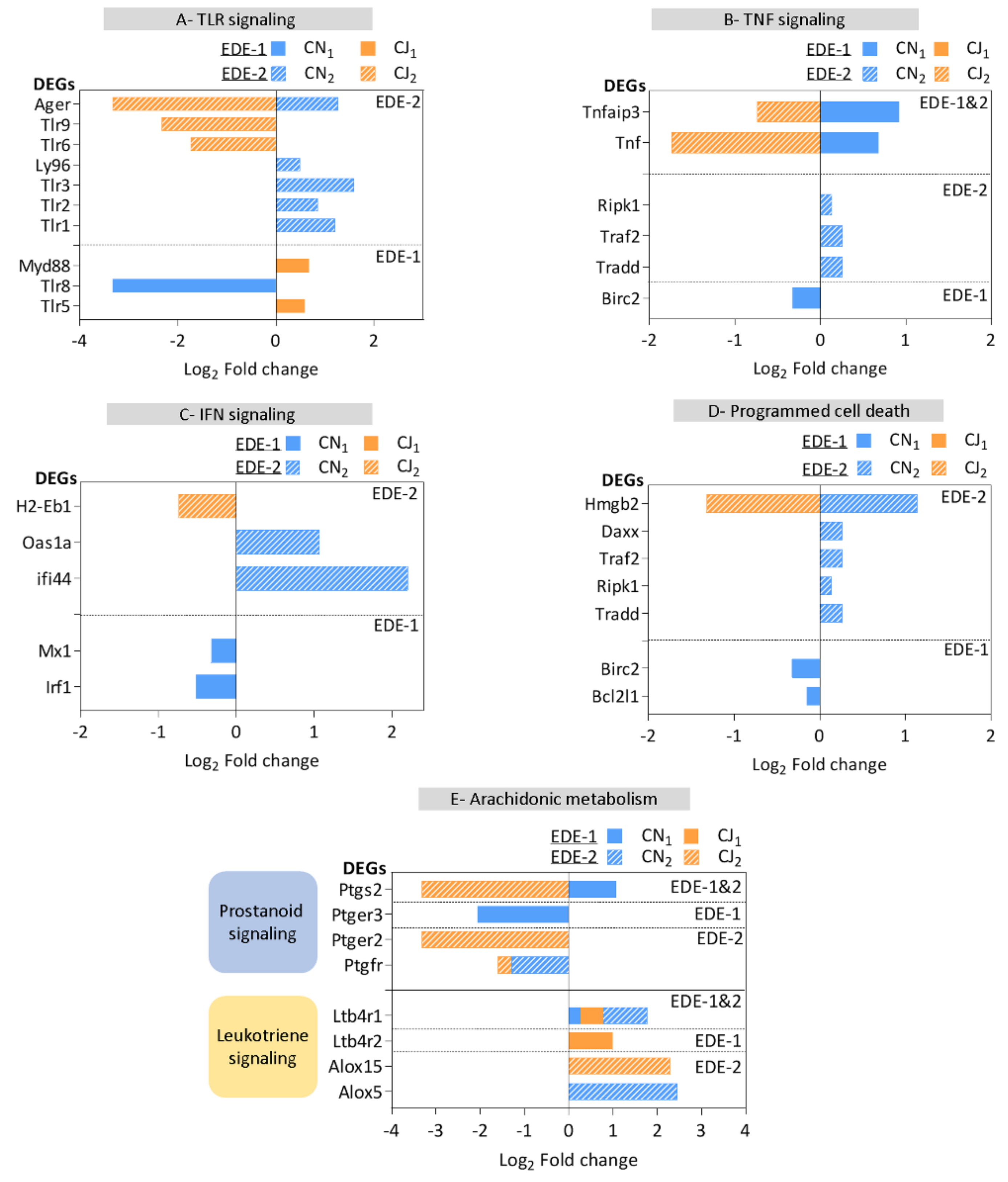 Ijms 22 10770 g004 Ijms 22 10770 g004