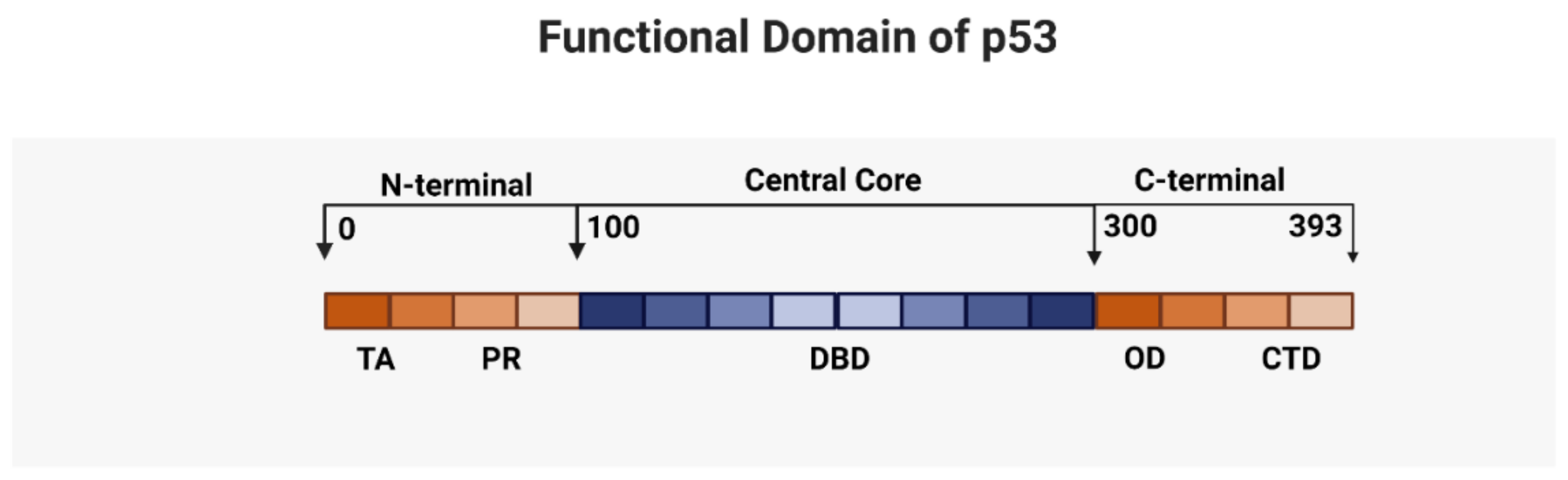 Ijms 22 10782 g001 Ijms 22 10782 g001