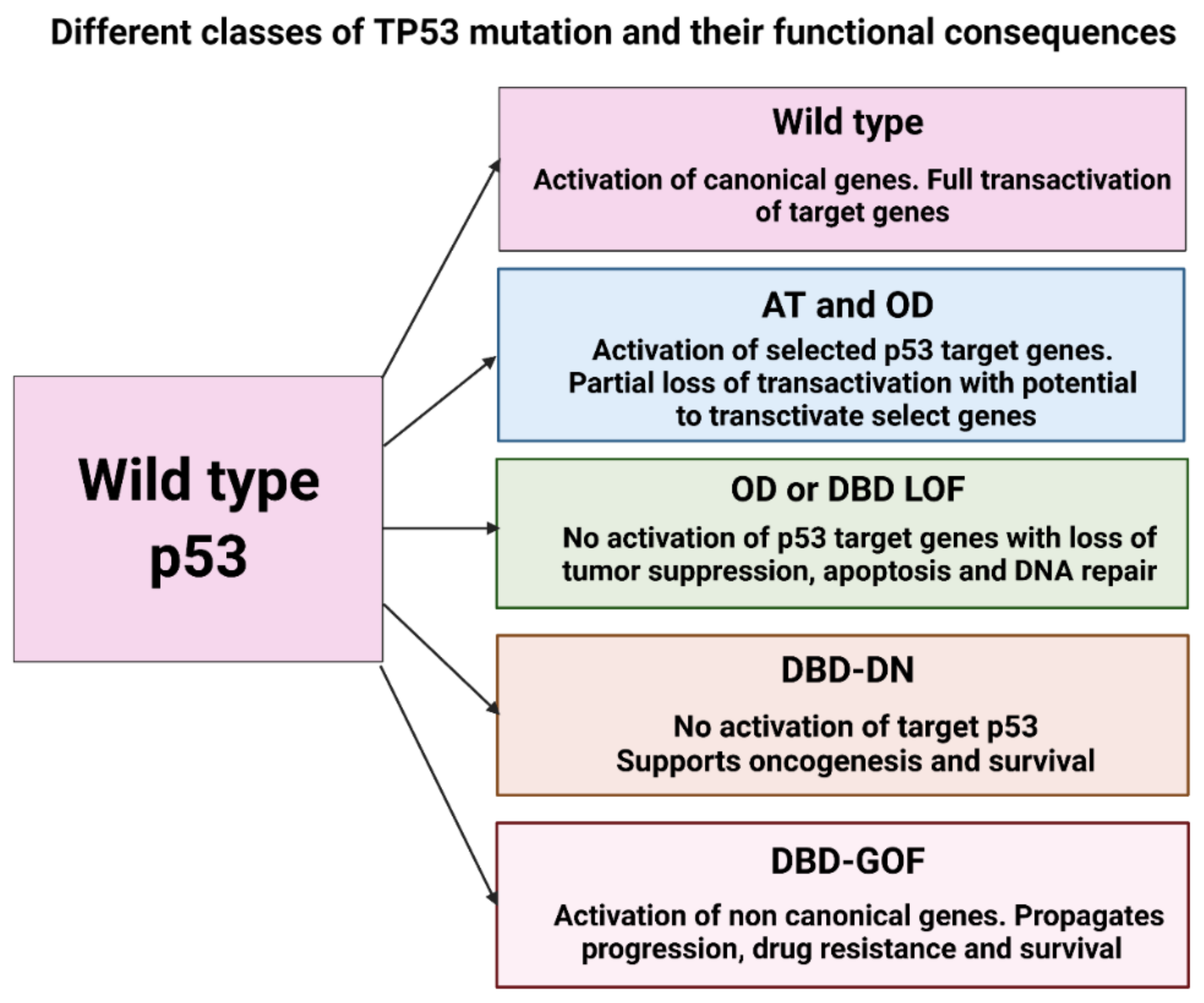 Ijms 22 10782 g002 Ijms 22 10782 g002