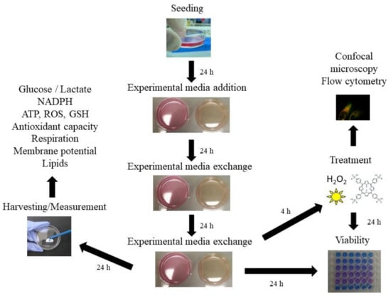 Ijms 22 10790 g0a1 550