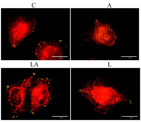 Ijms 22 10790 g0a6 550