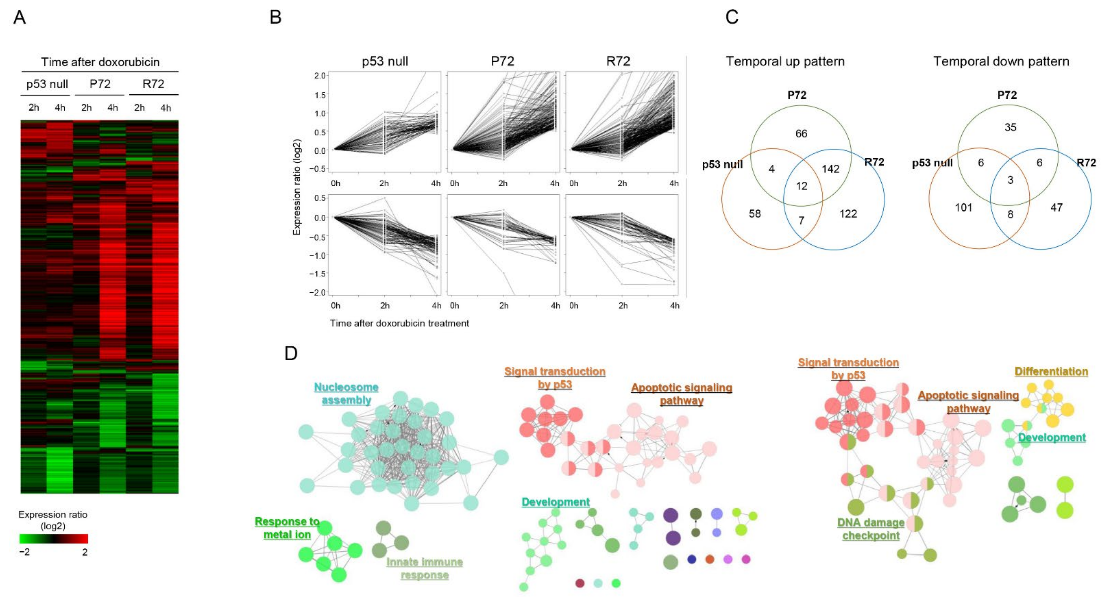 Ijms 22 10793 g002 Ijms 22 10793 g002