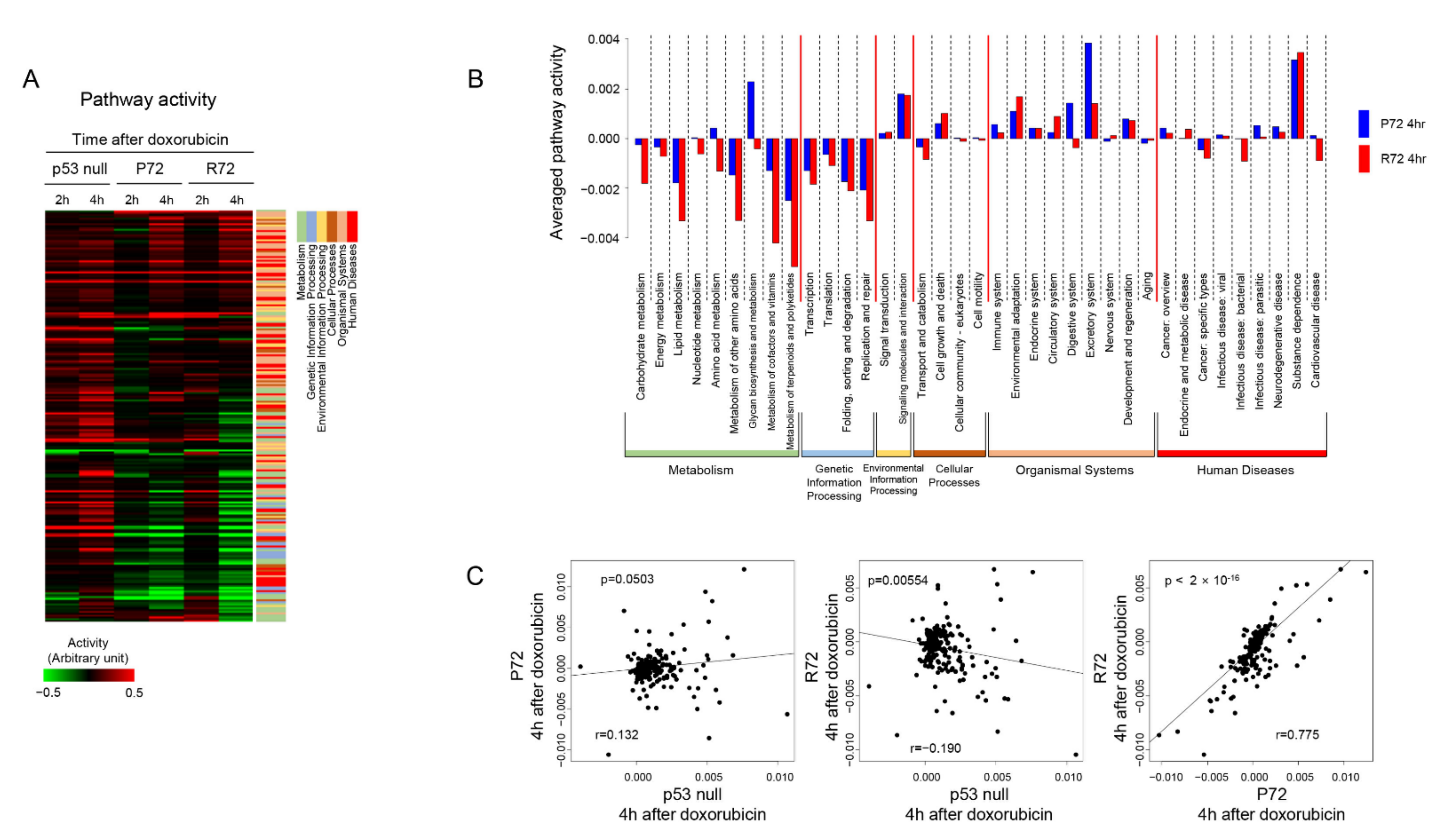 Ijms 22 10793 g003 Ijms 22 10793 g003