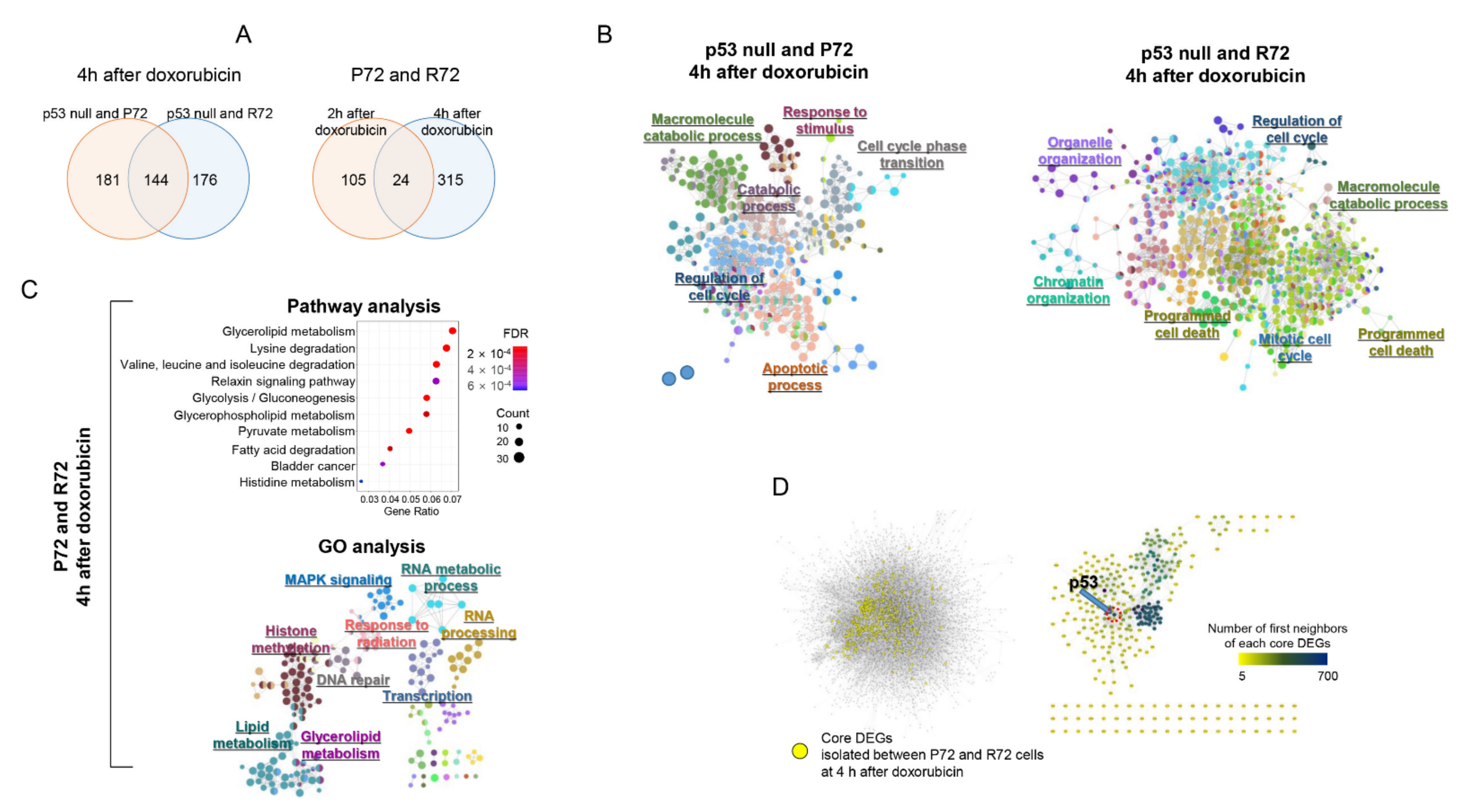 Ijms 22 10793 g004 Ijms 22 10793 g004