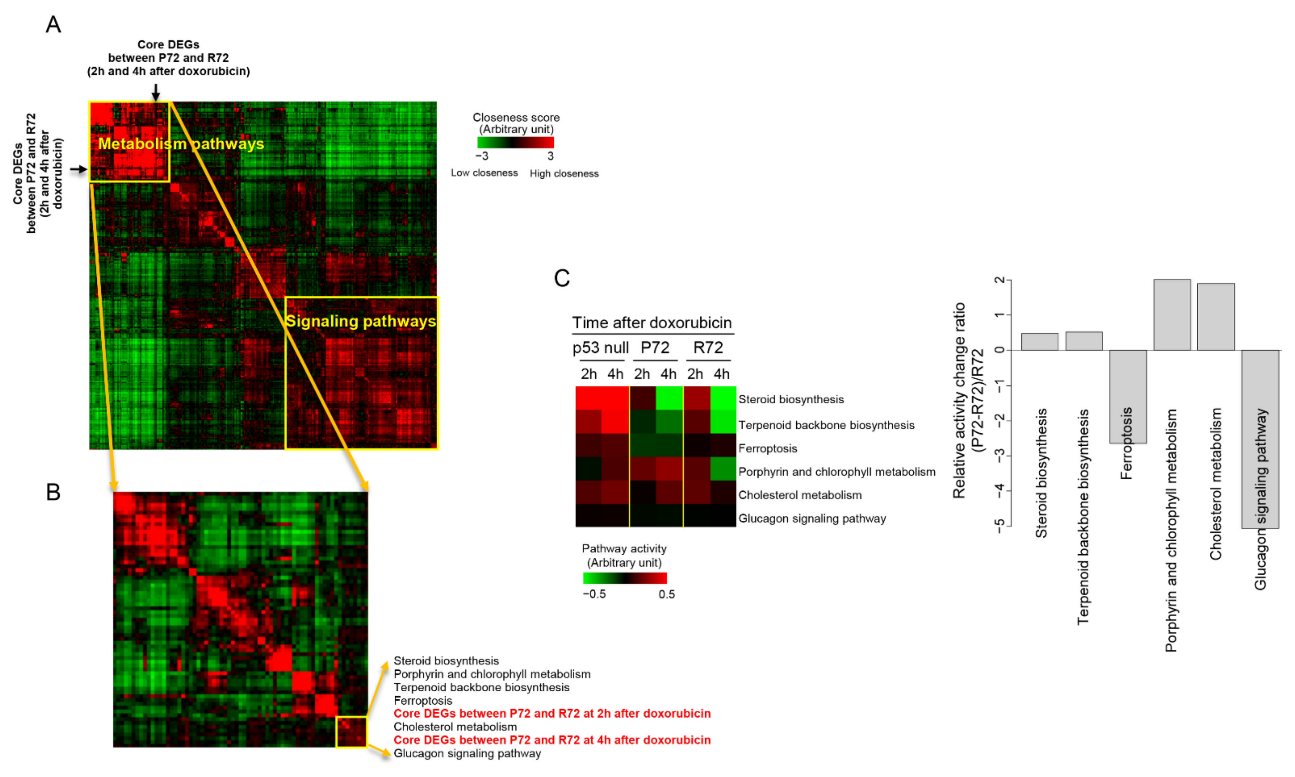 Ijms 22 10793 g005 Ijms 22 10793 g005