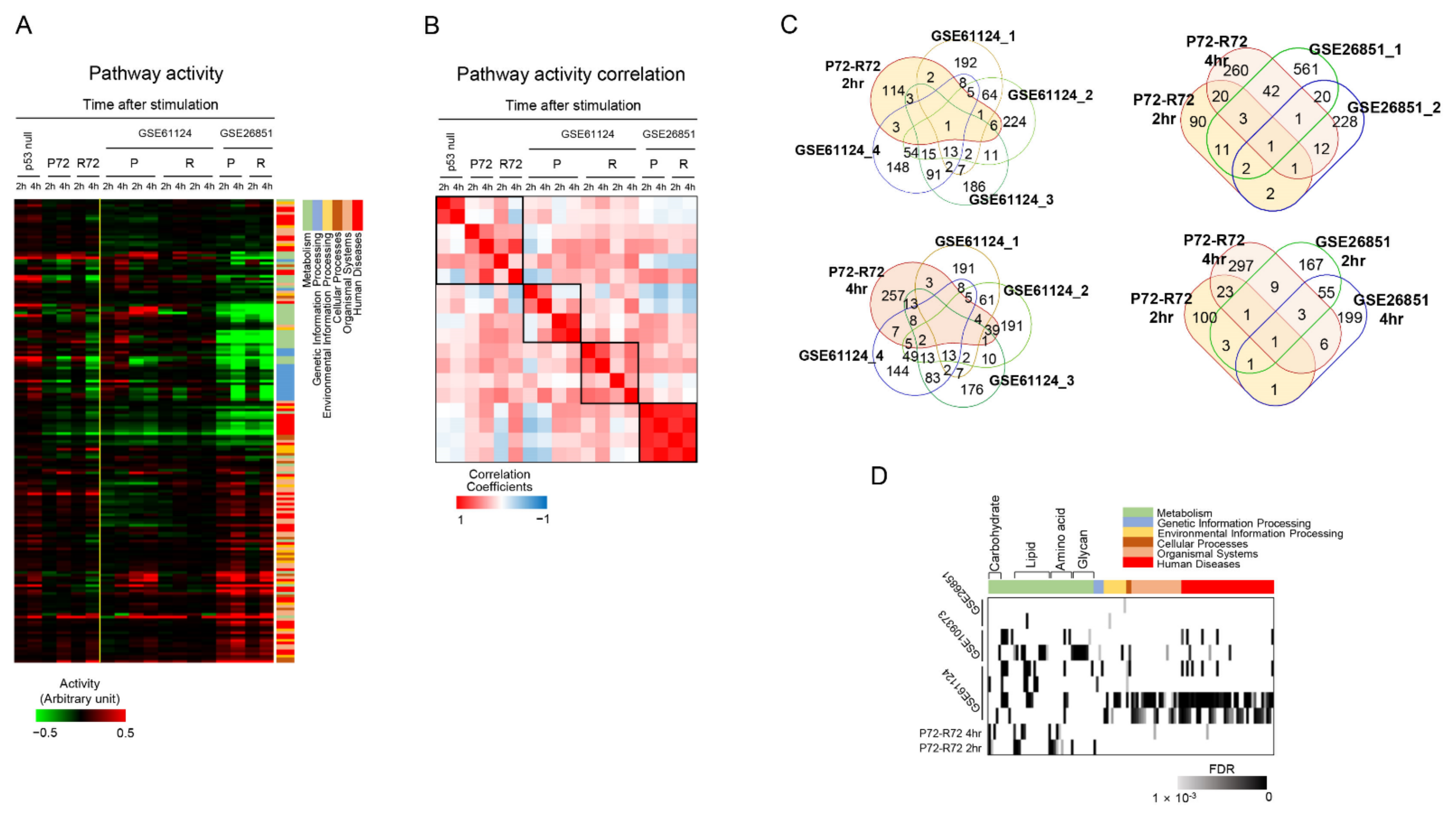Ijms 22 10793 g006 Ijms 22 10793 g006