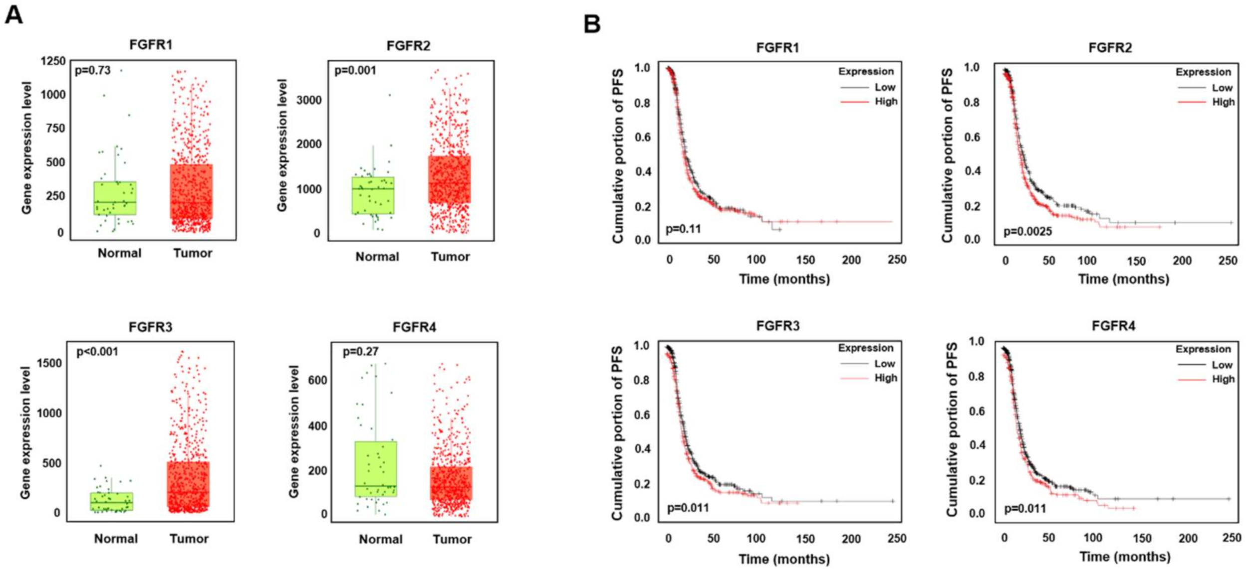 Ijms 22 10817 g001 Ijms 22 10817 g001