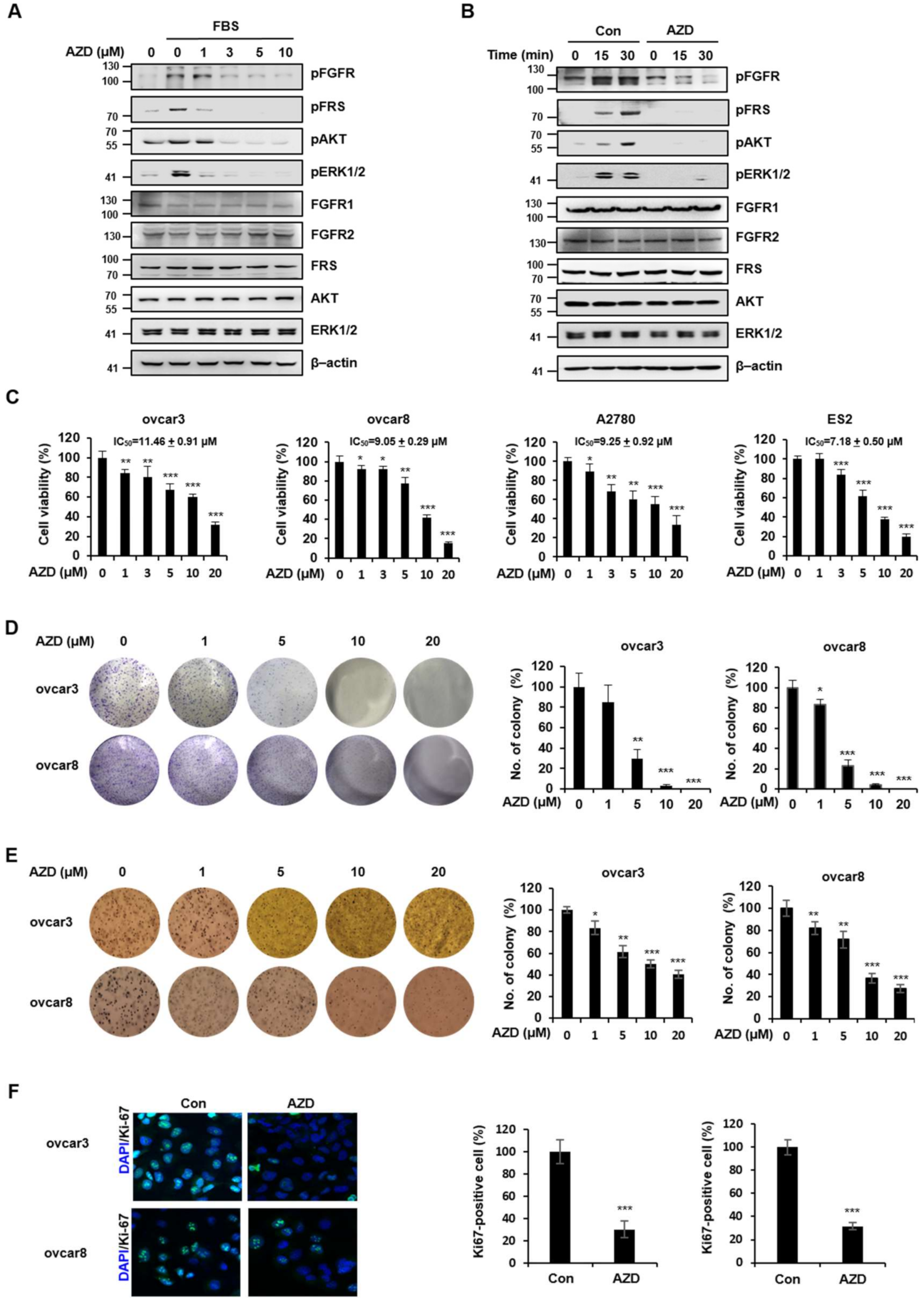 Ijms 22 10817 g002 Ijms 22 10817 g002