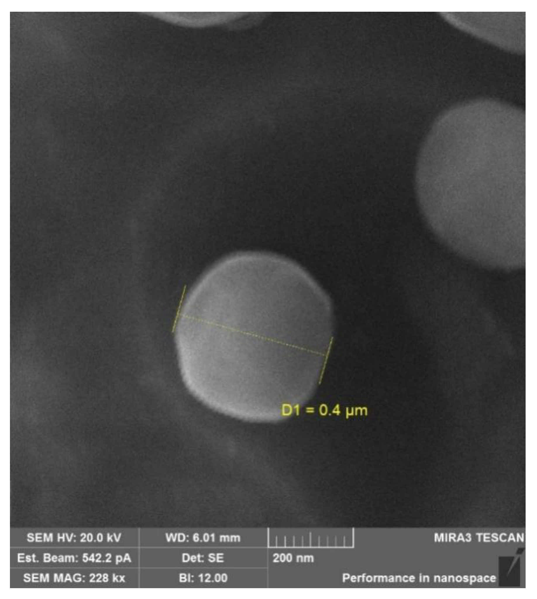 Ijms 22 10960 g003 Ijms 22 10960 g003