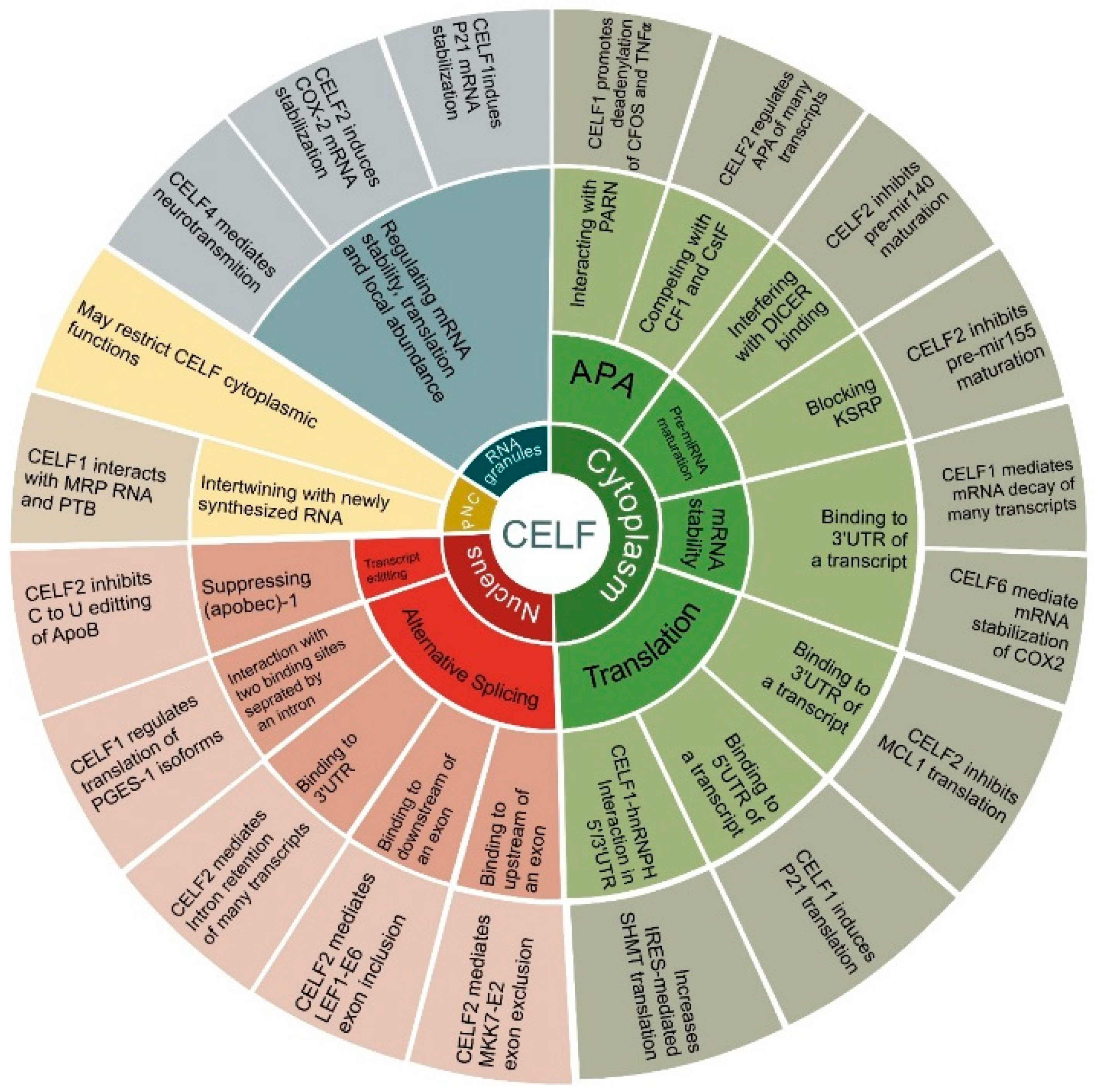 Ijms 22 11056 g002 Ijms 22 11056 g002