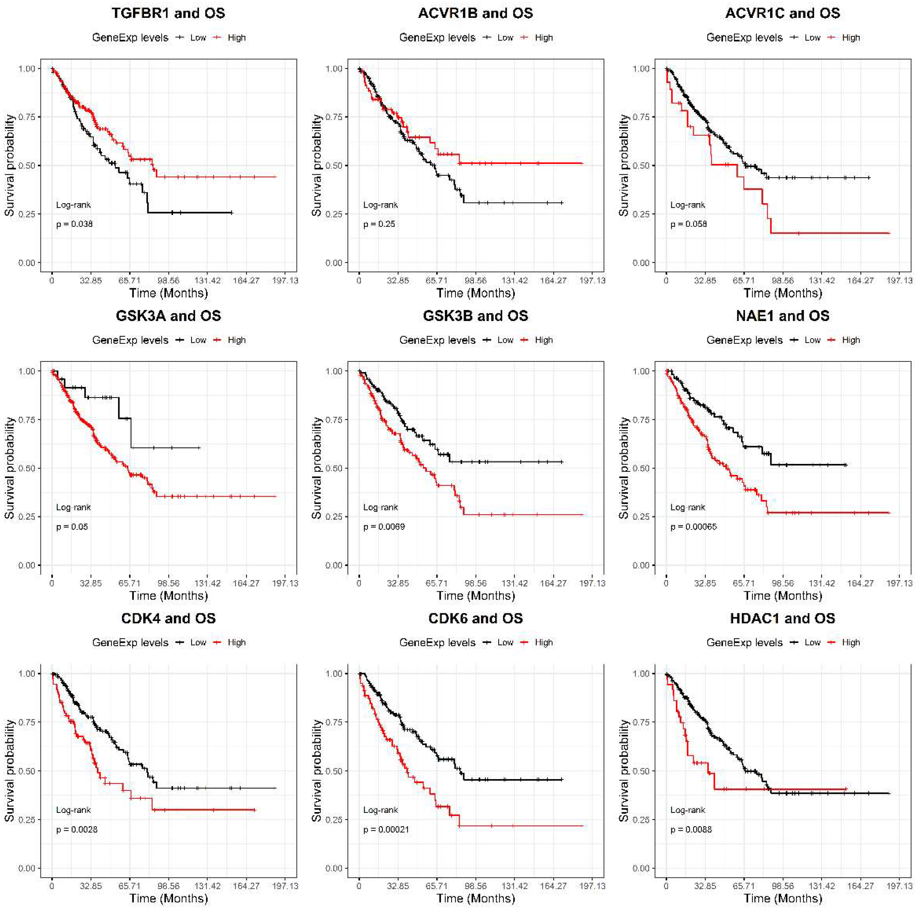 Ijms 22 11147 g001 Ijms 22 11147 g001