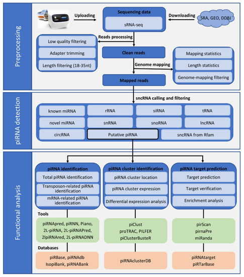 Ijms 22 11166 g001 550