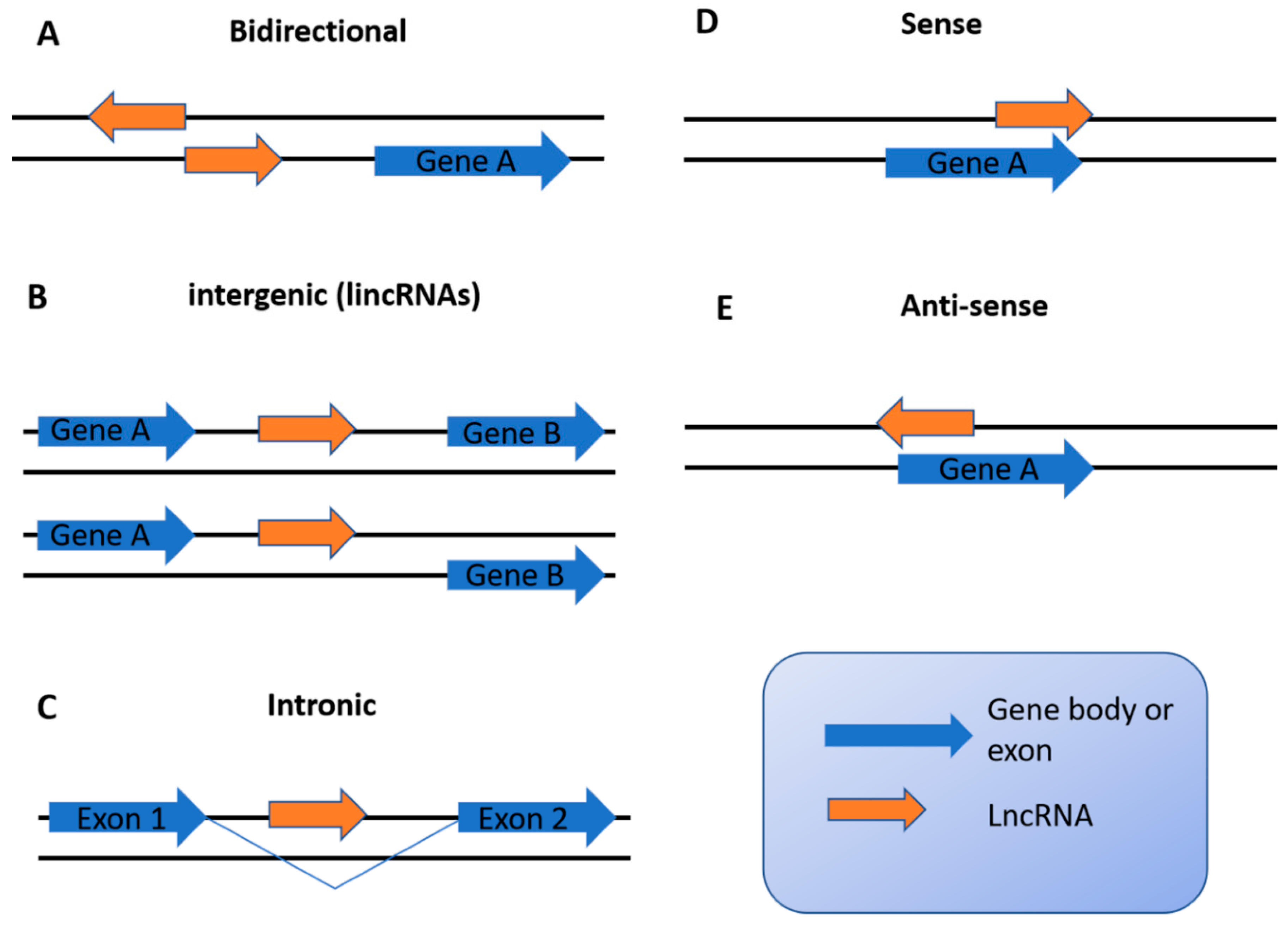 Ijms 22 11197 g001 Ijms 22 11197 g001
