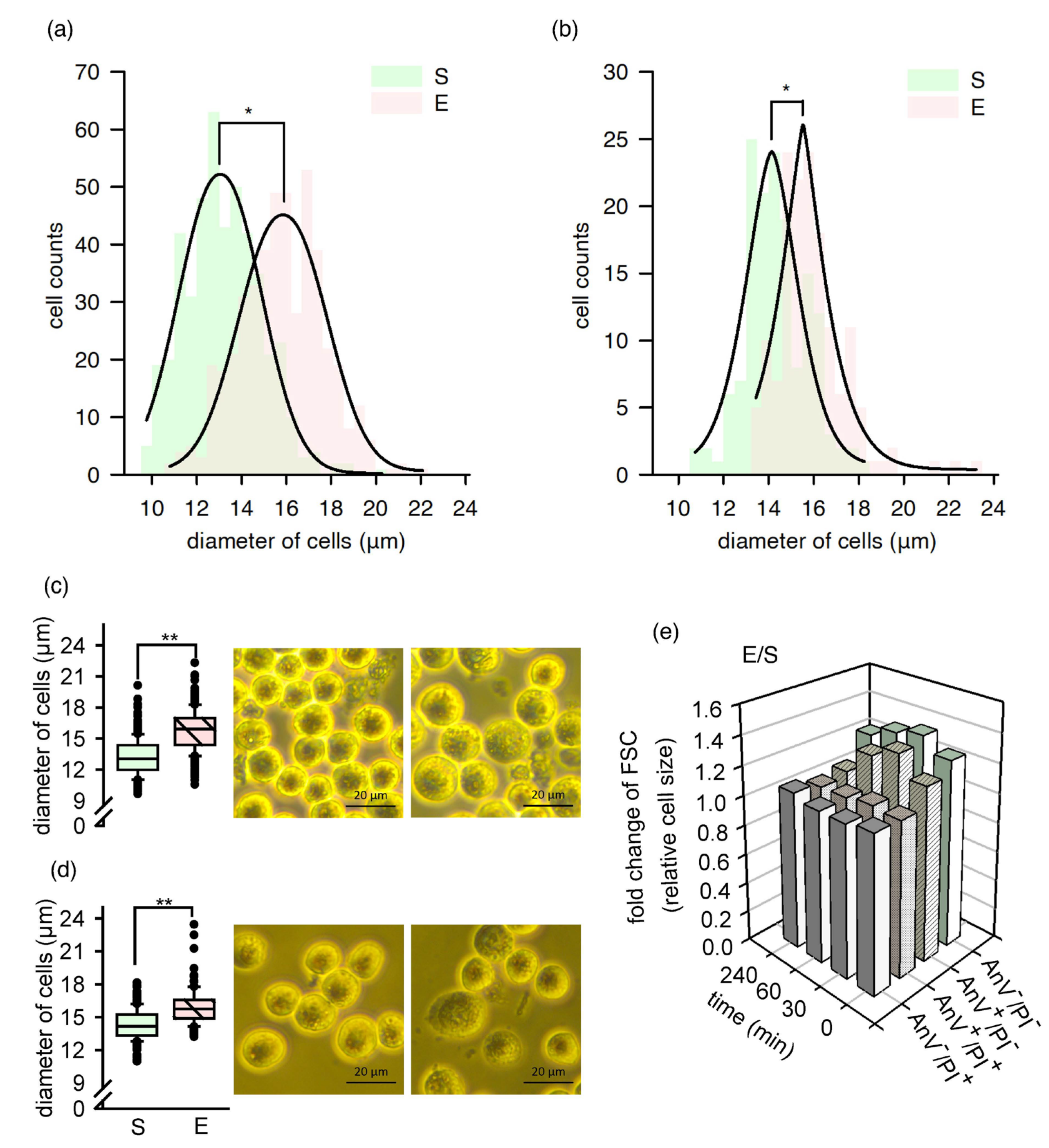 Ijms 22 11236 g001 Ijms 22 11236 g001