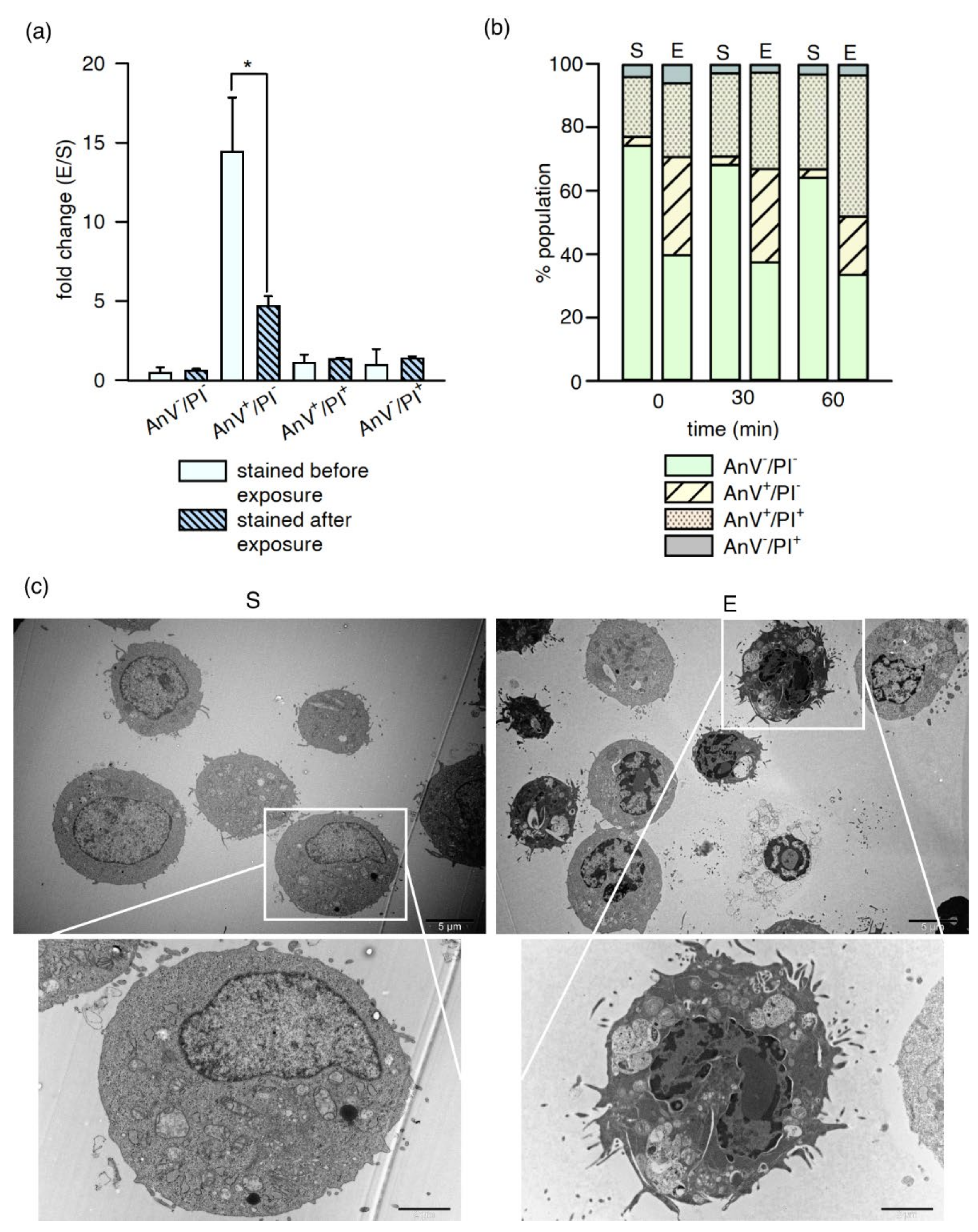 Ijms 22 11236 g004 Ijms 22 11236 g004