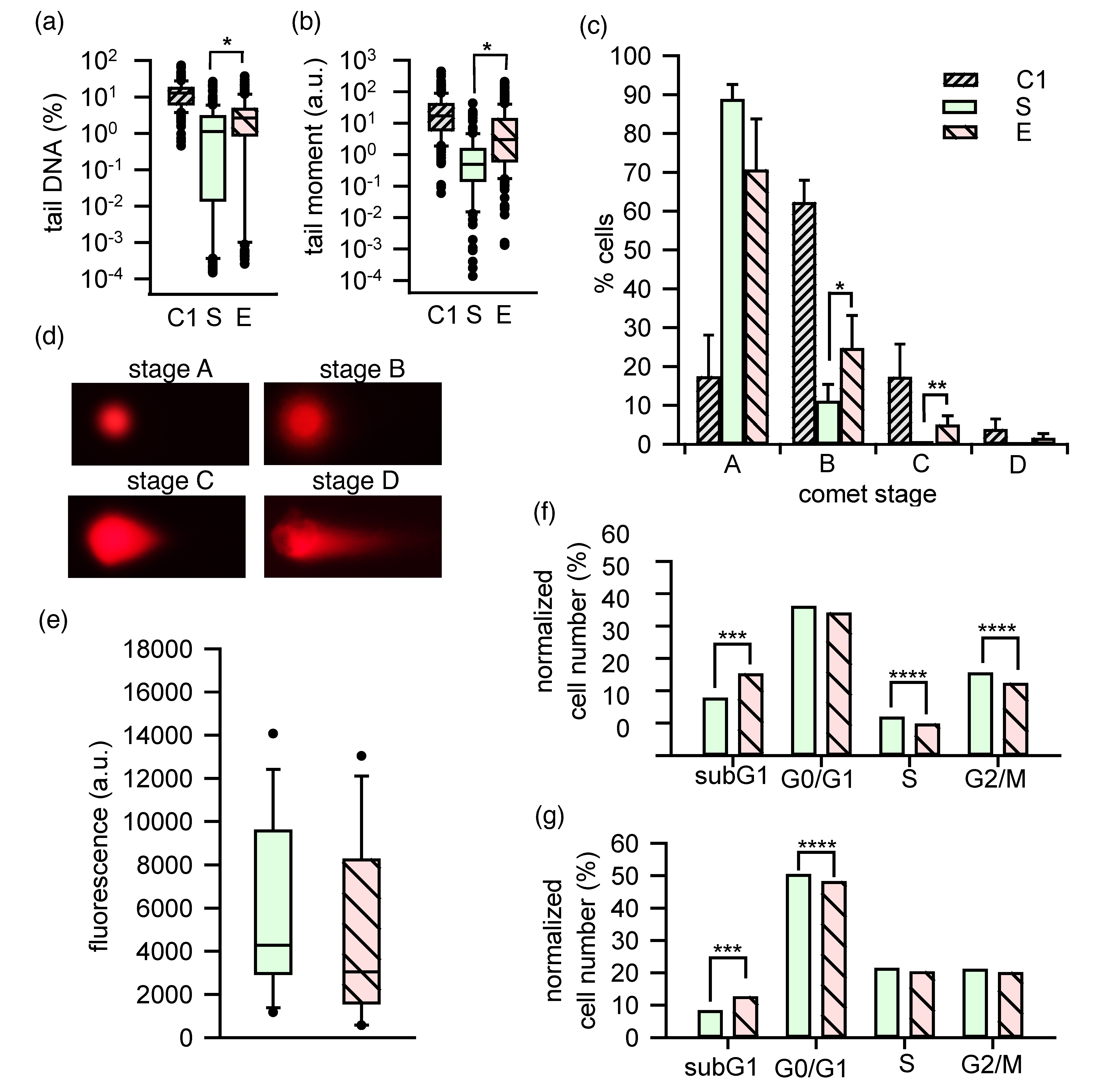 Ijms 22 11236 g006 Ijms 22 11236 g006