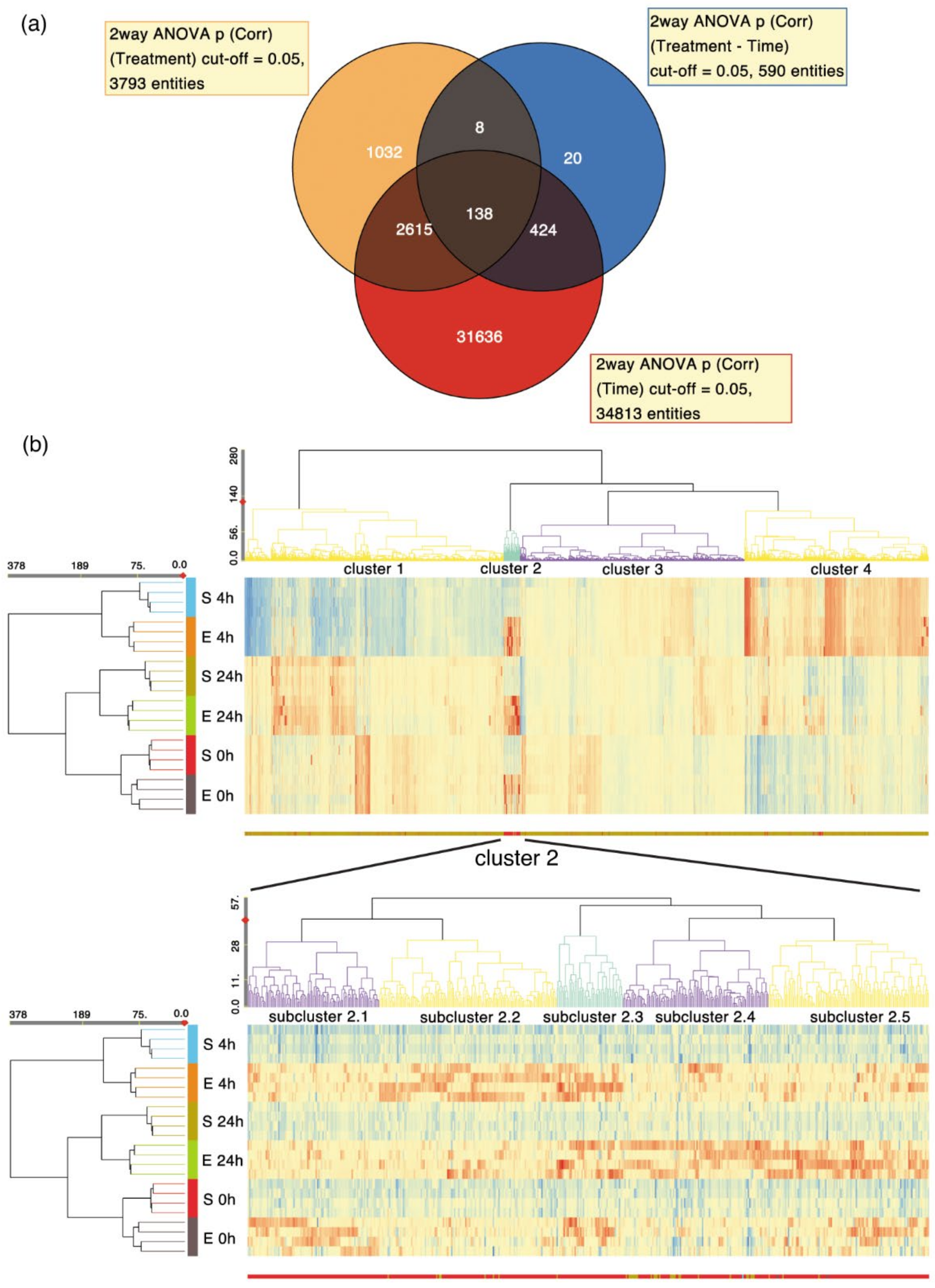 Ijms 22 11236 g007 Ijms 22 11236 g007